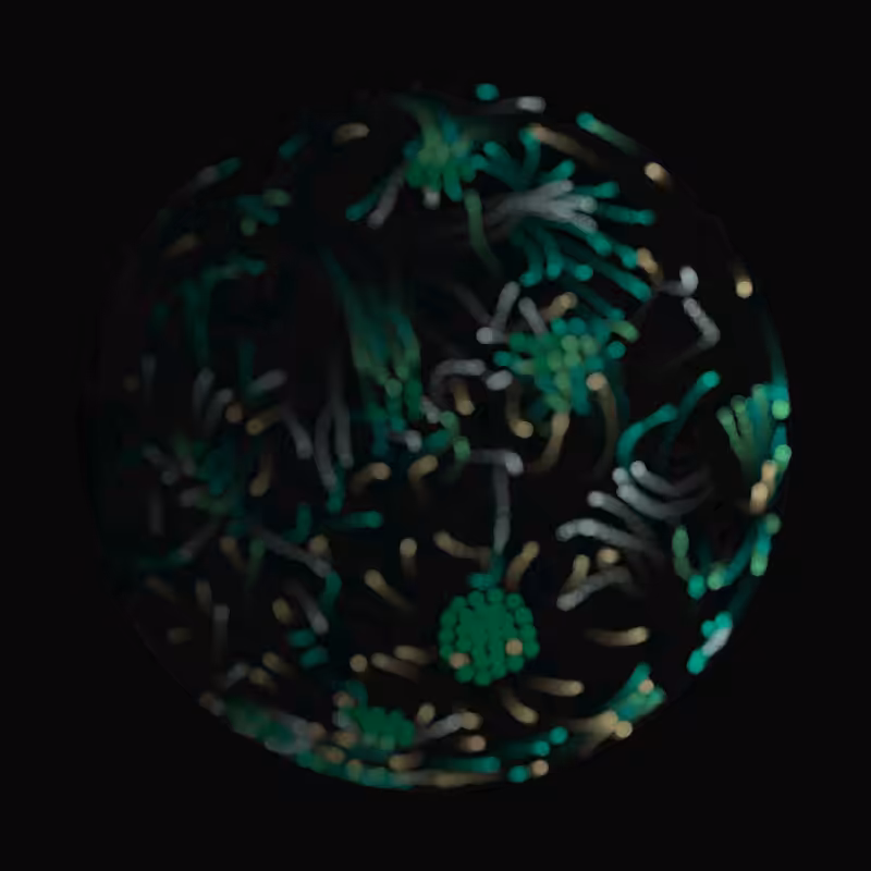 Earth #30