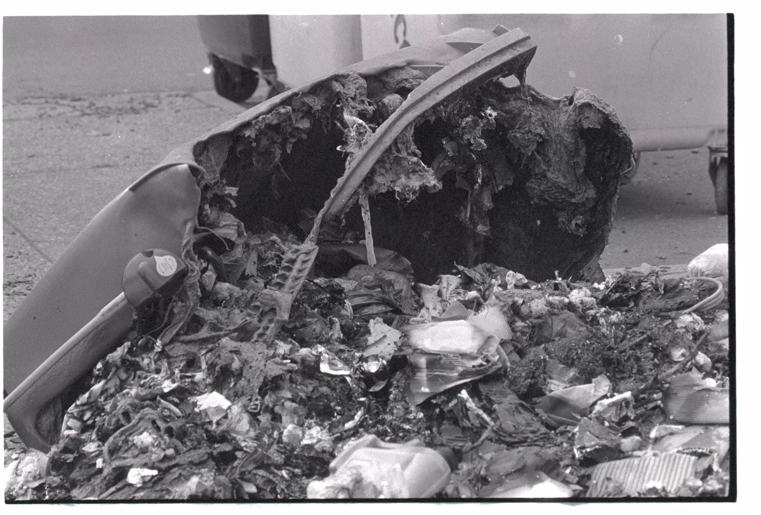 dumpster-fire-2021-testrun