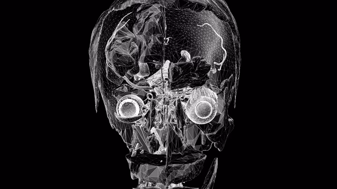 glitchface1