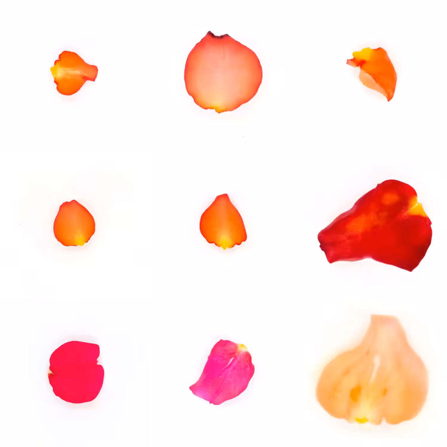 Infinite Petals 3x3#320