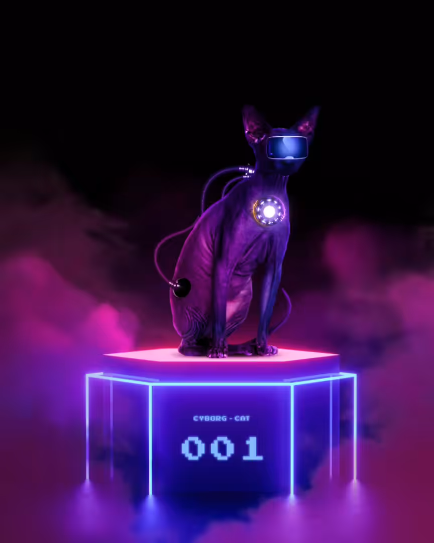 Cyborg Cat 001