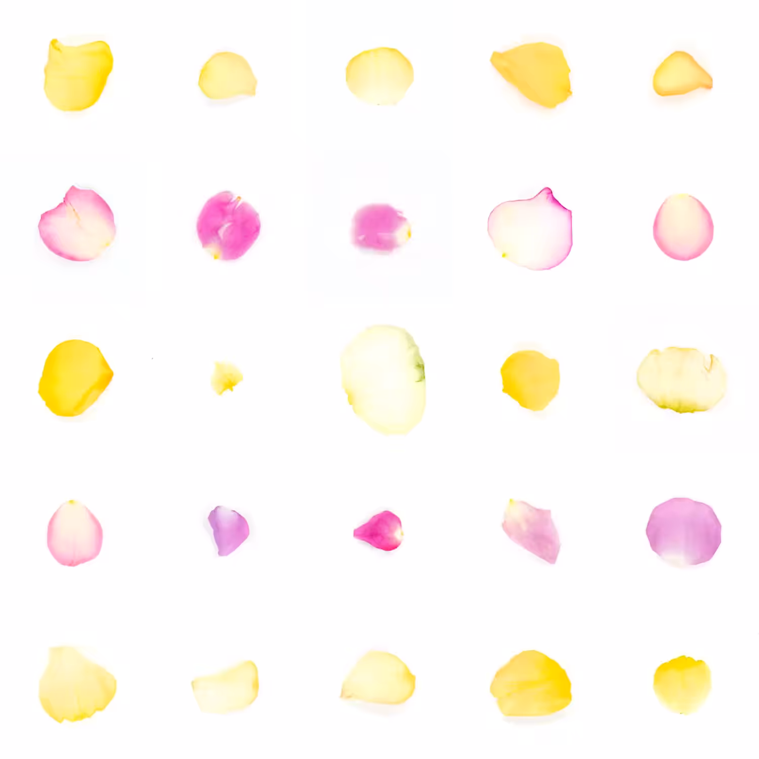 Infinite Petals 5x5#20951