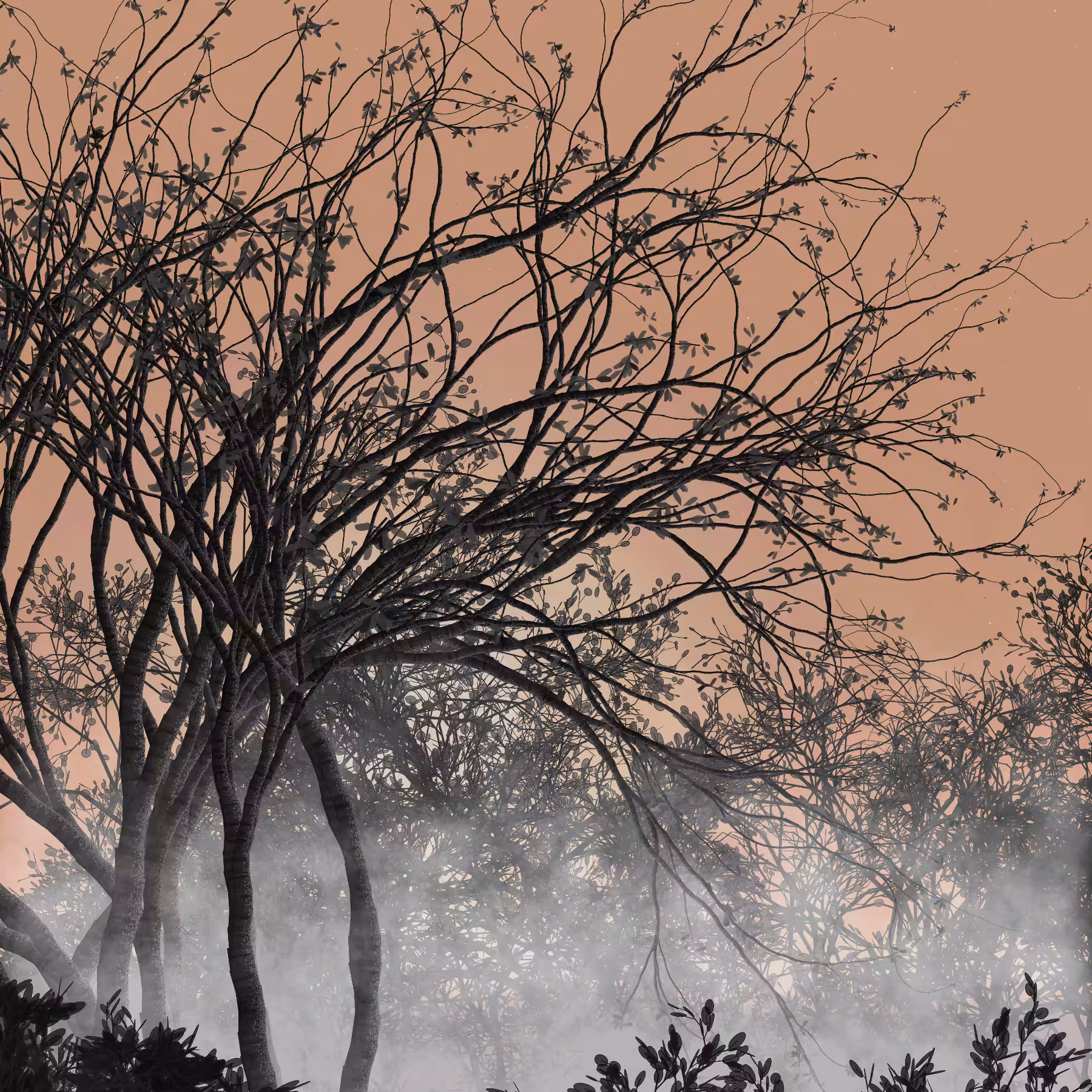 Morning Mist #135