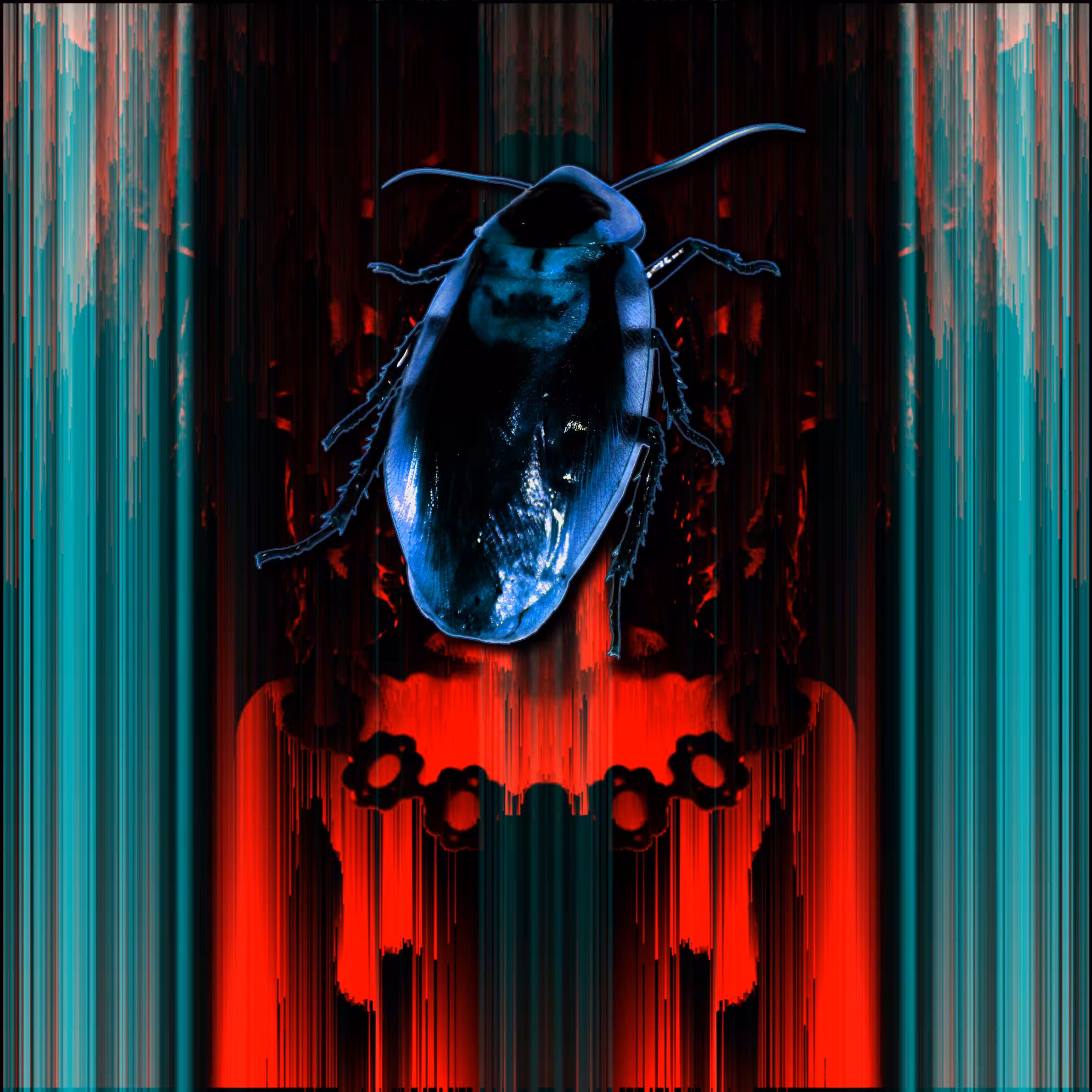The Beauty and the Cockroach
