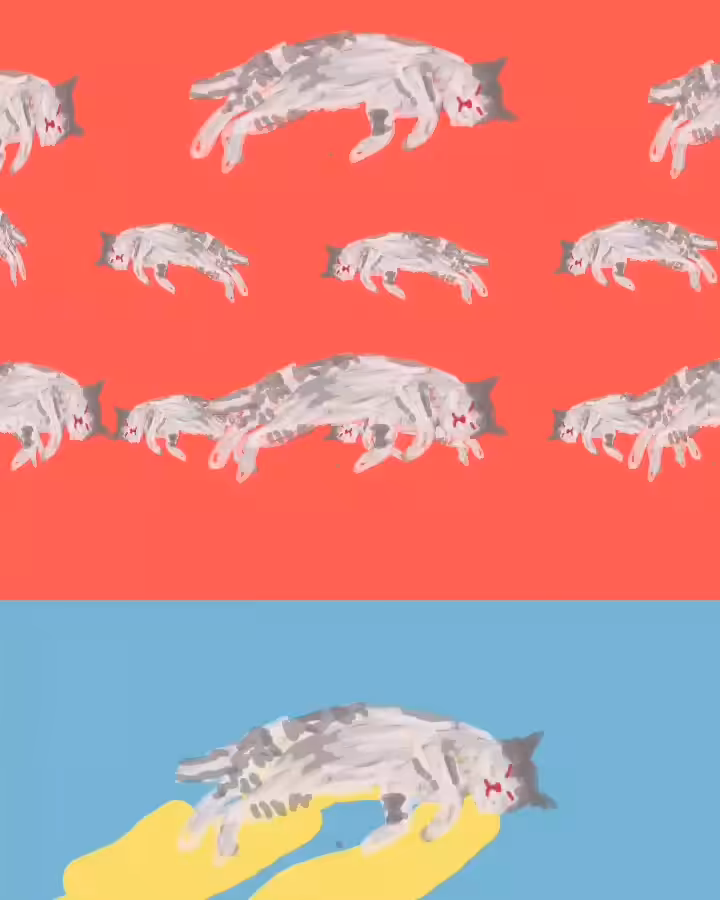 rain cats