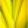 Y9 : Everpixel