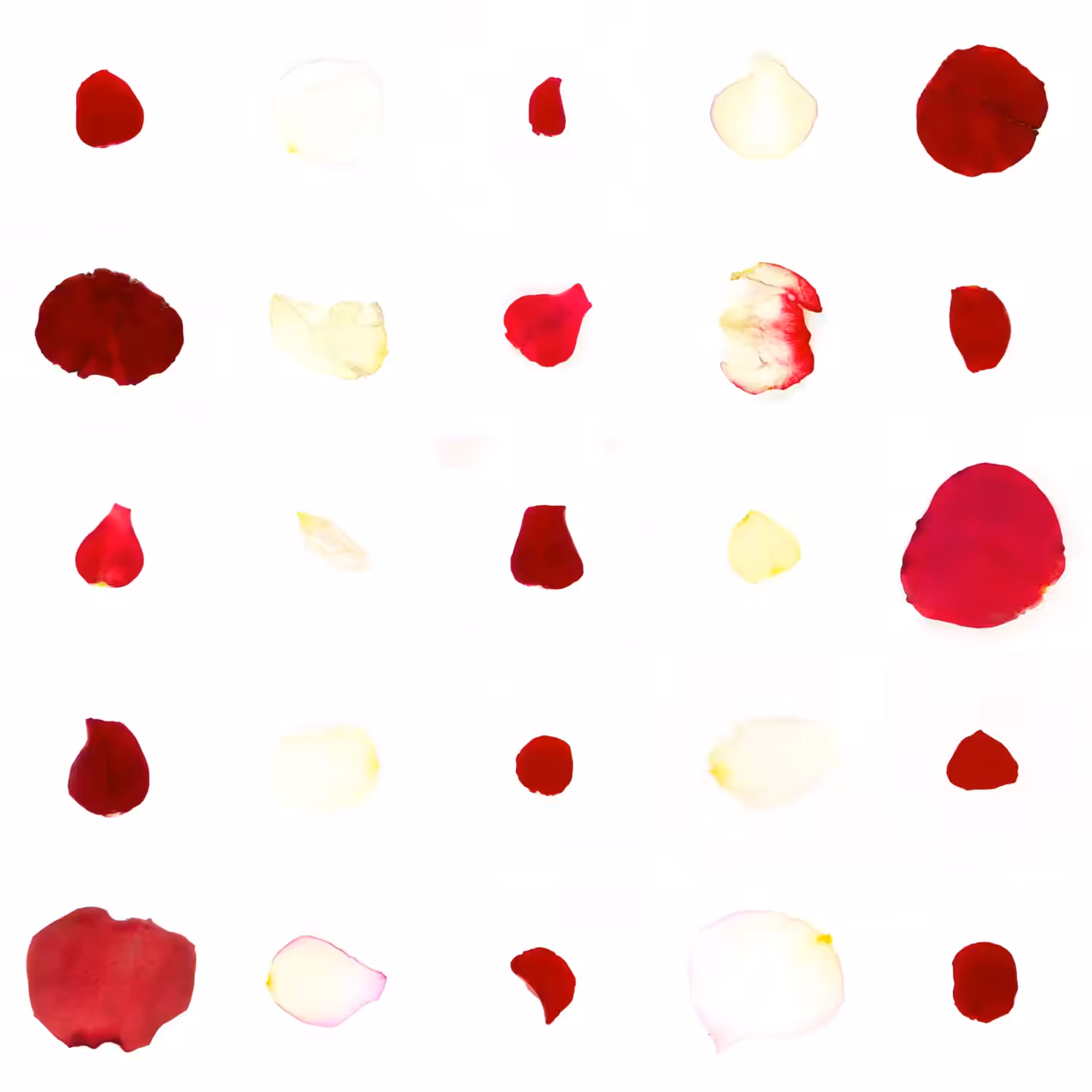 Infinite Petals 5x5#20250