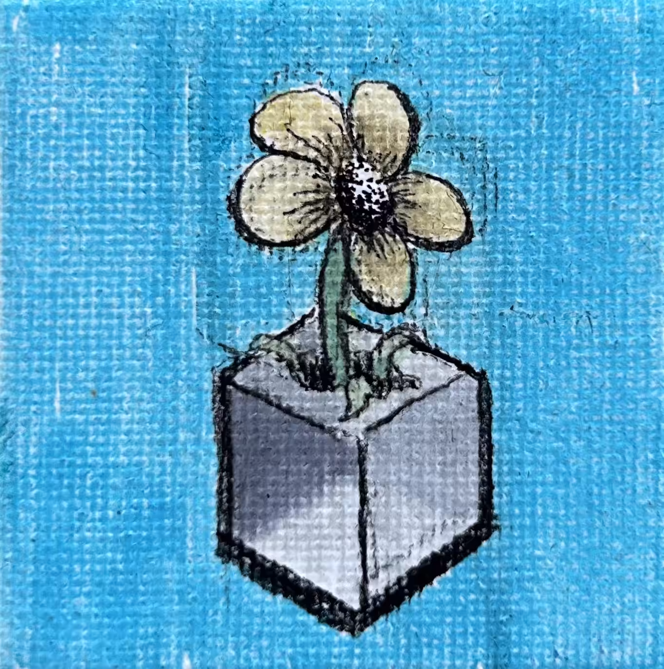 'Outgrow the Box'