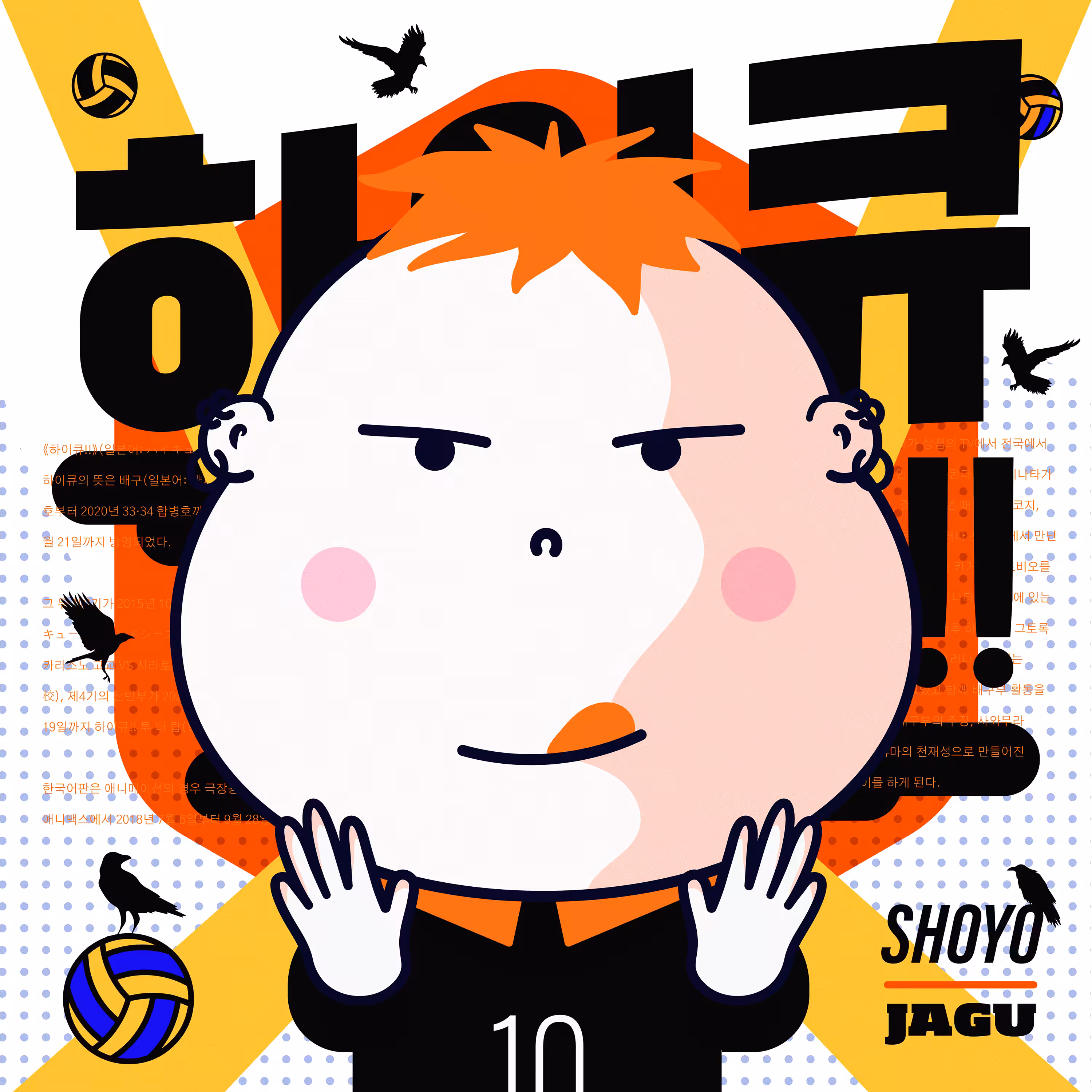 80 - SHOYO JAGU [Framies from Jagu]