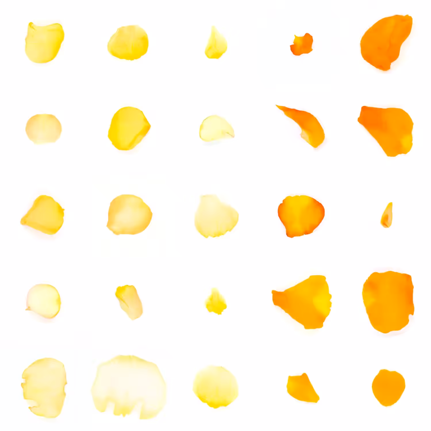 Infinite Petals 5x5#3951