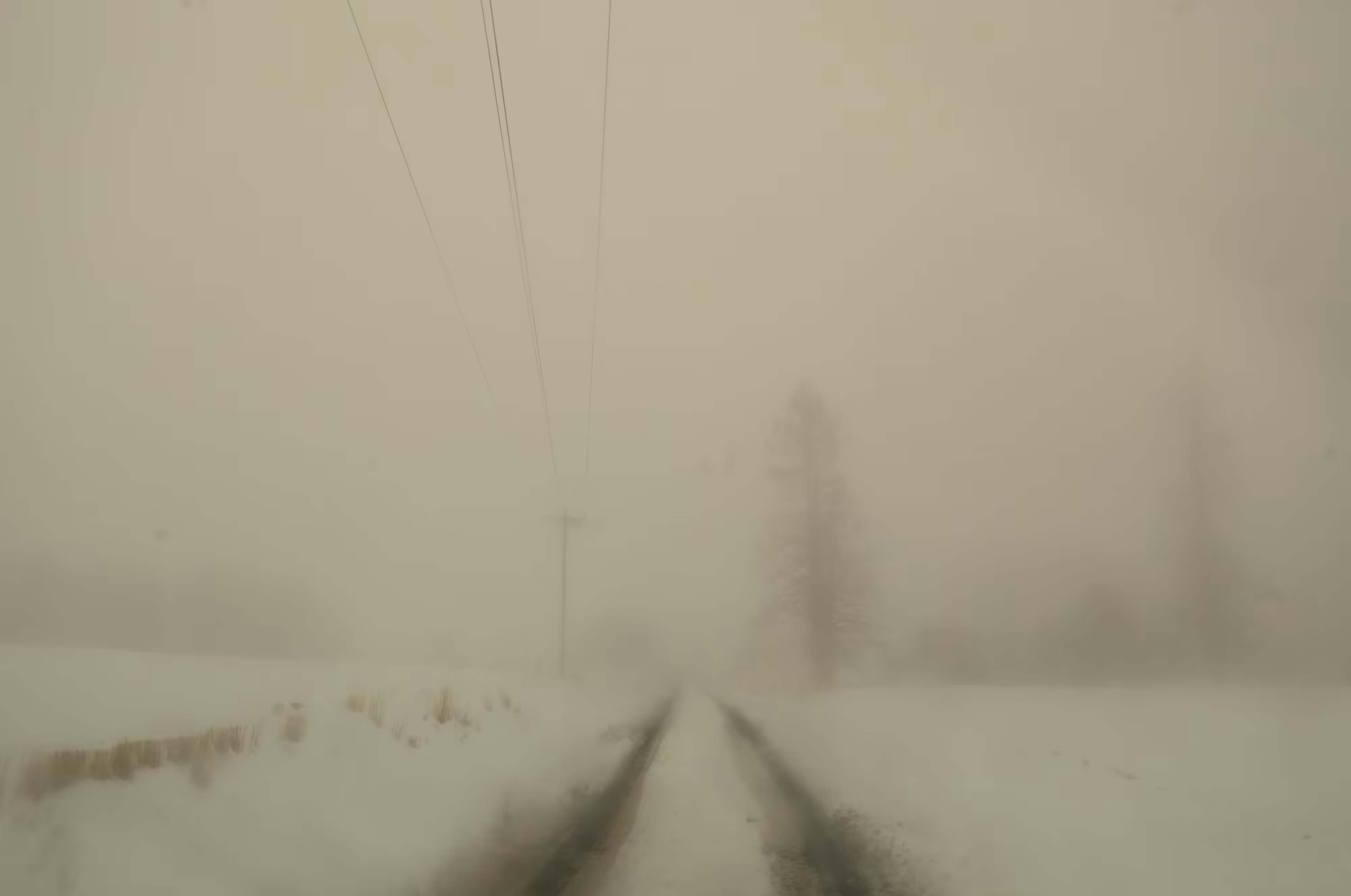 The Black Mechanism #54 (Untitled 12046-5176) by Todd Hido