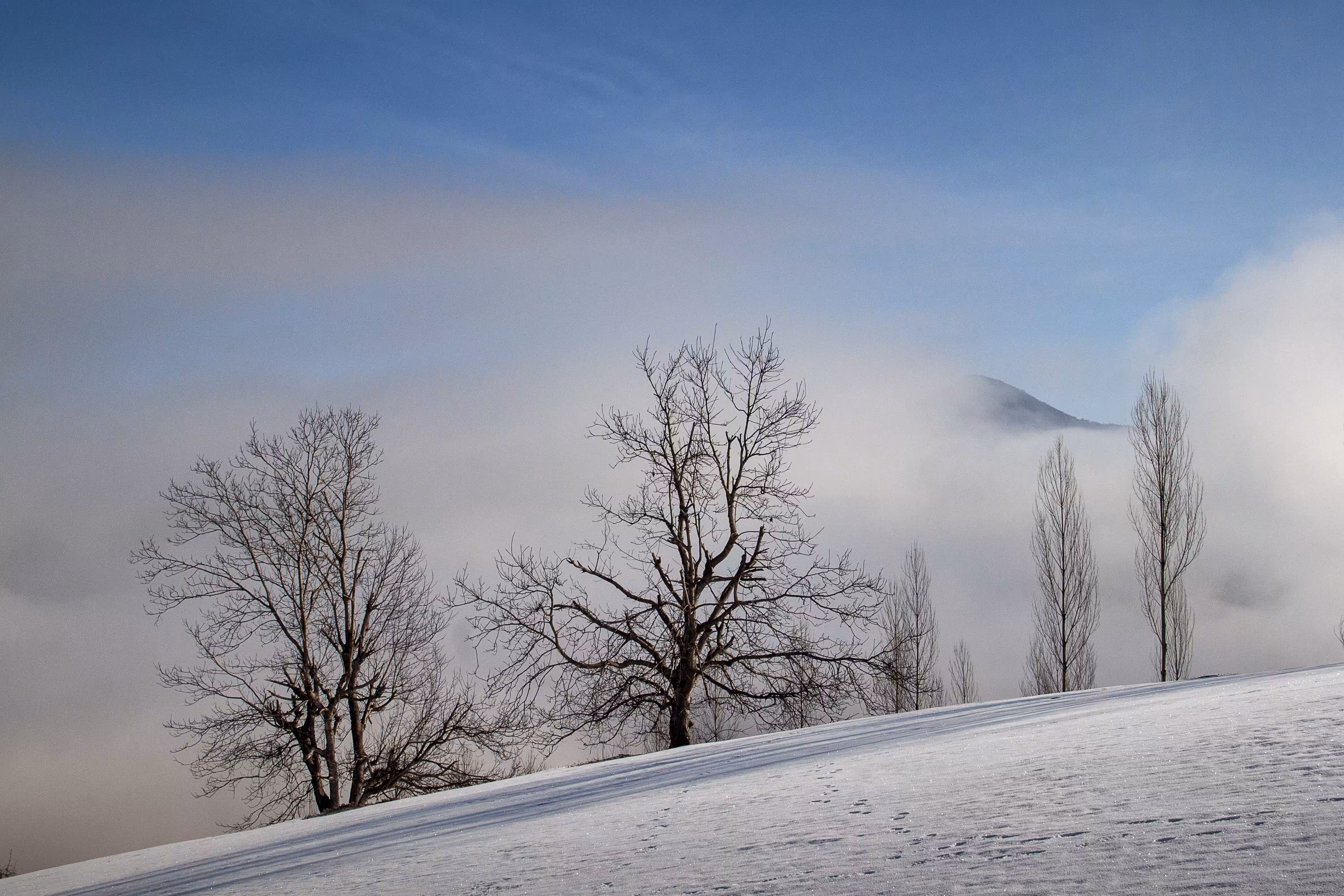 1/1 : Winter