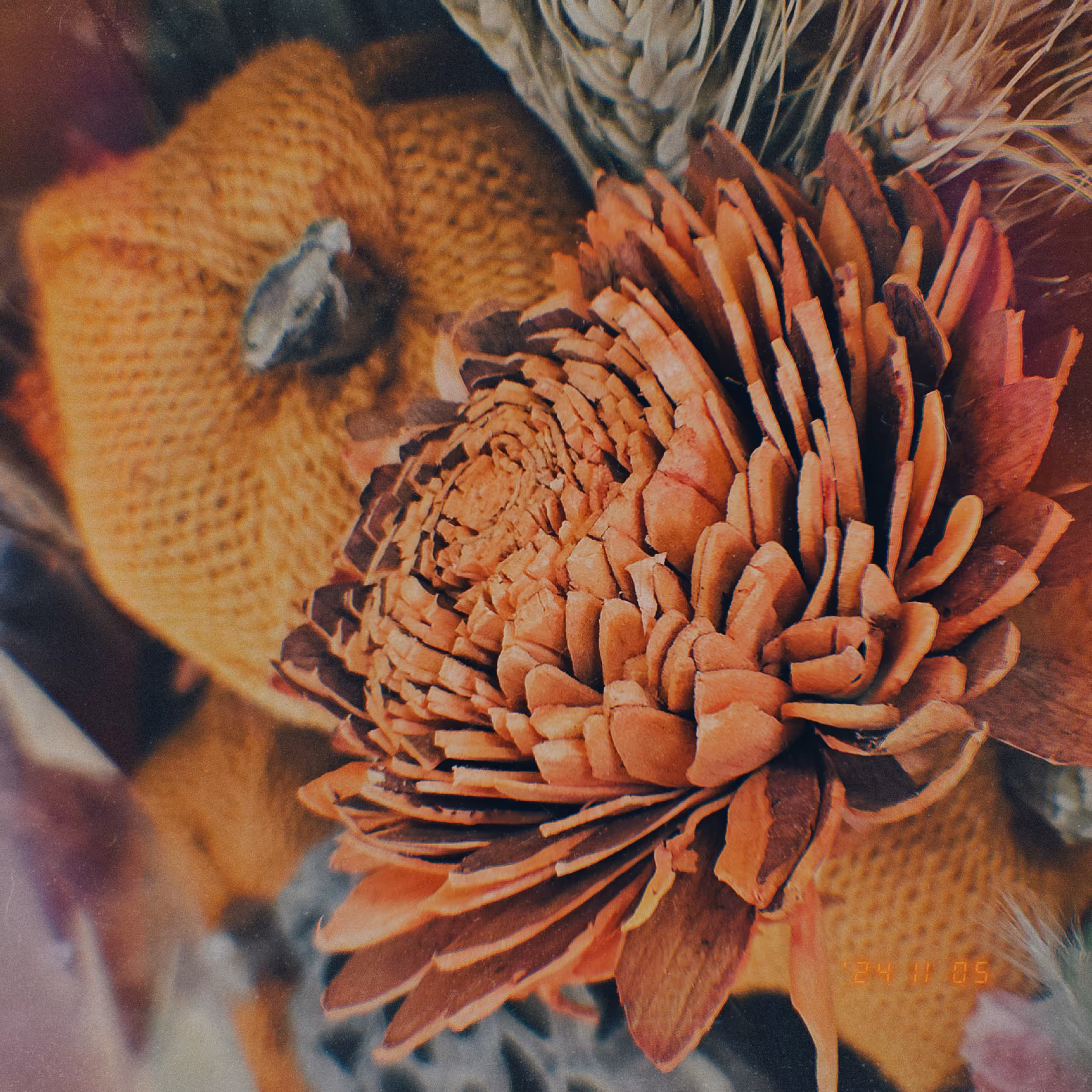 :a Visual Odyssey:: Day 310/365
