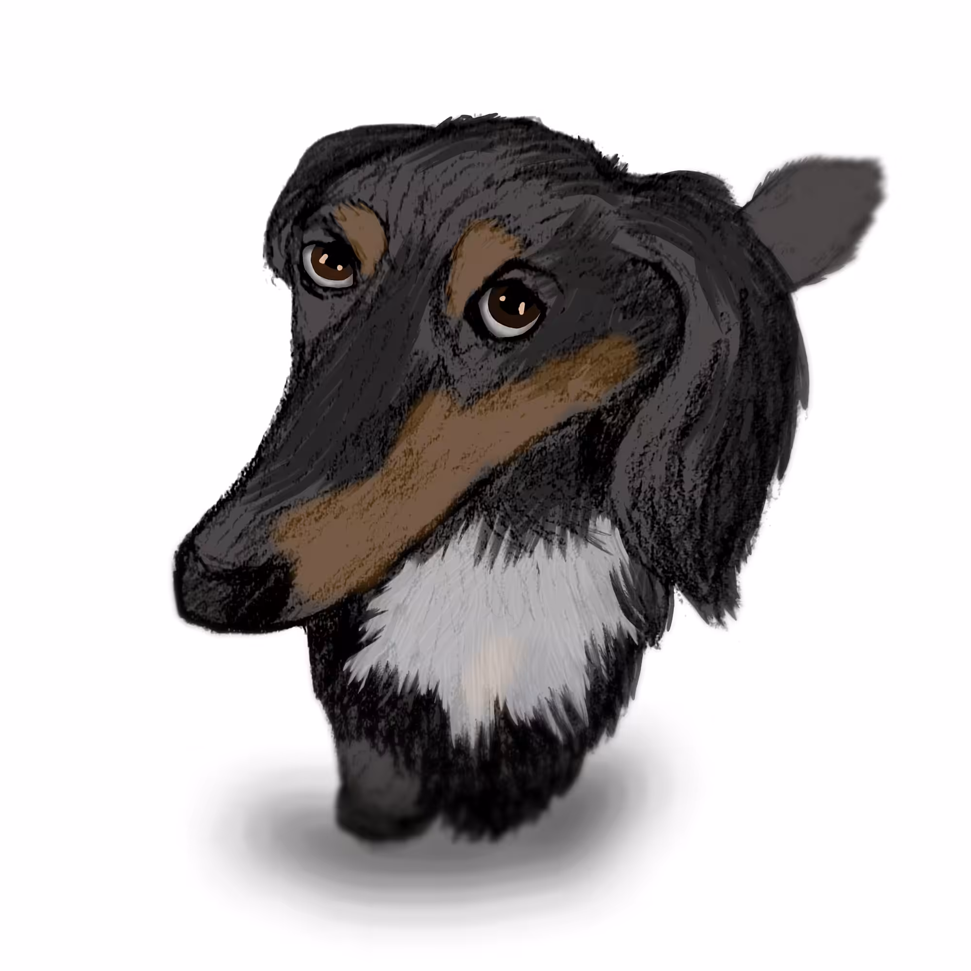 Art Of Abolfazl : Smart Dog 