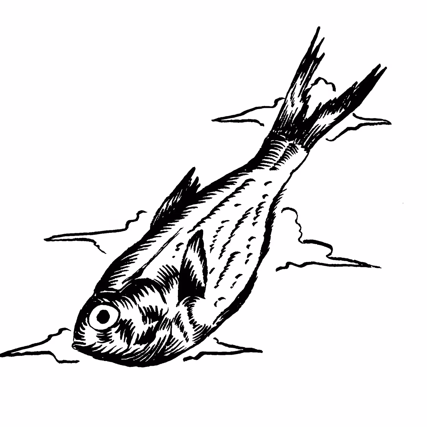 RED FISH