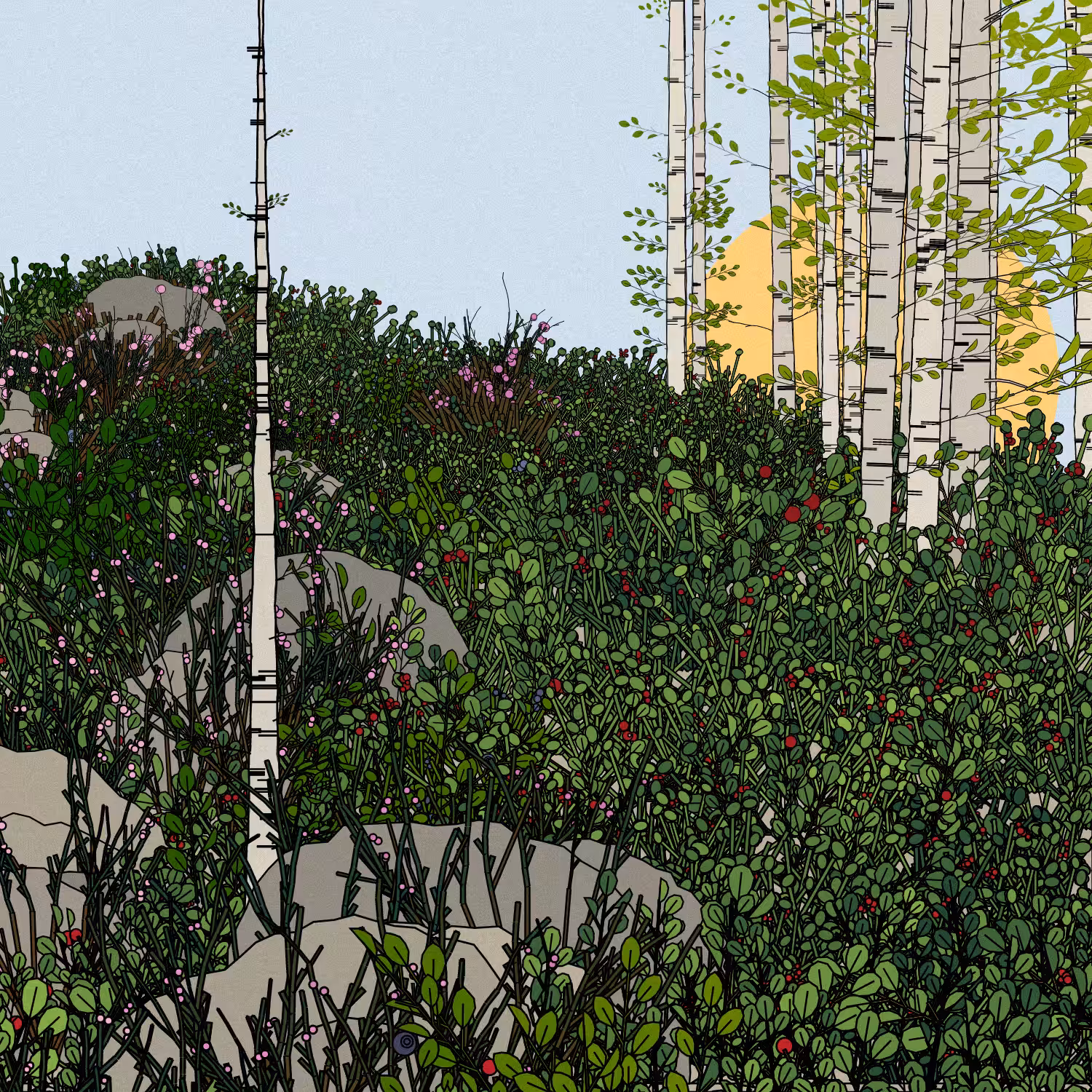 Swedish Forest #252
