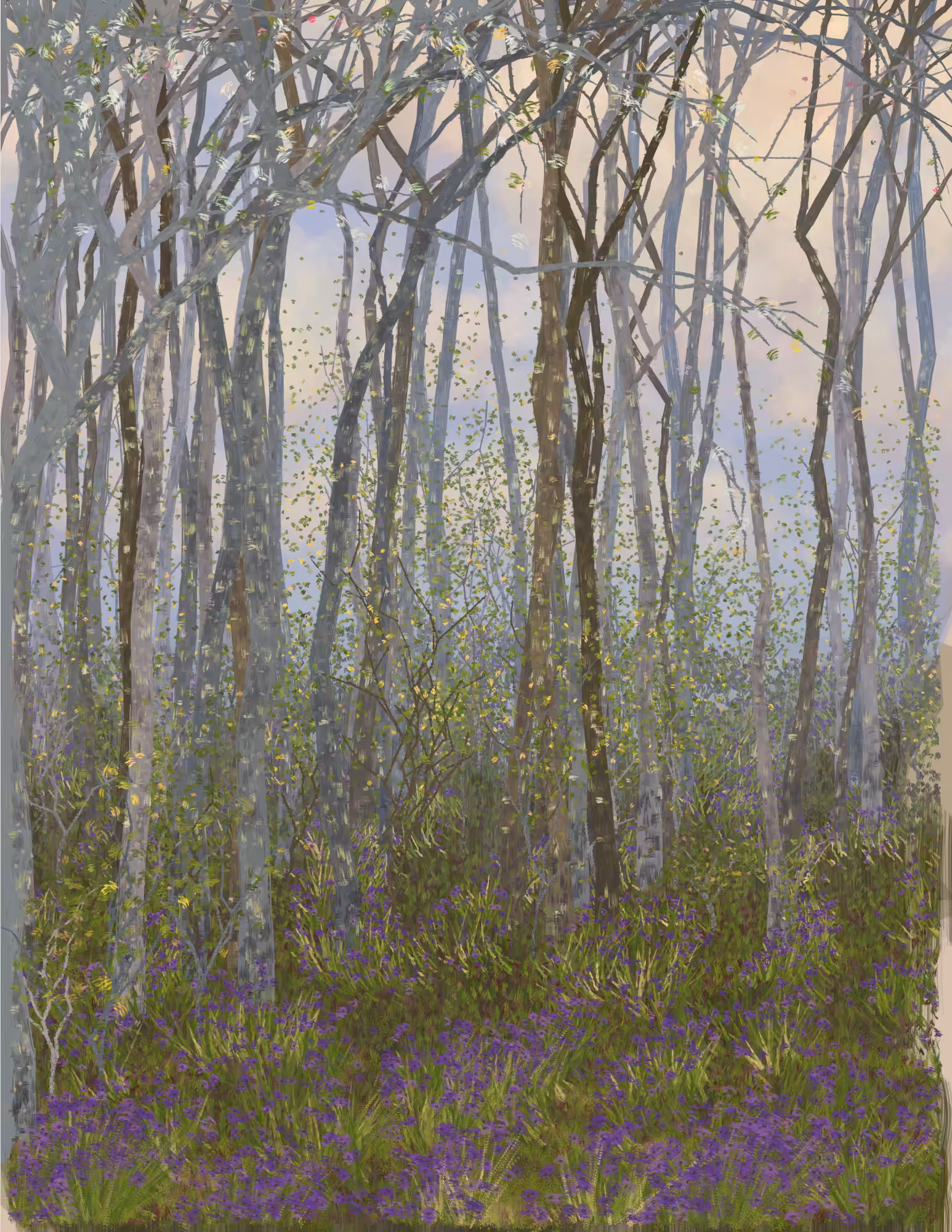Deep Forest #204