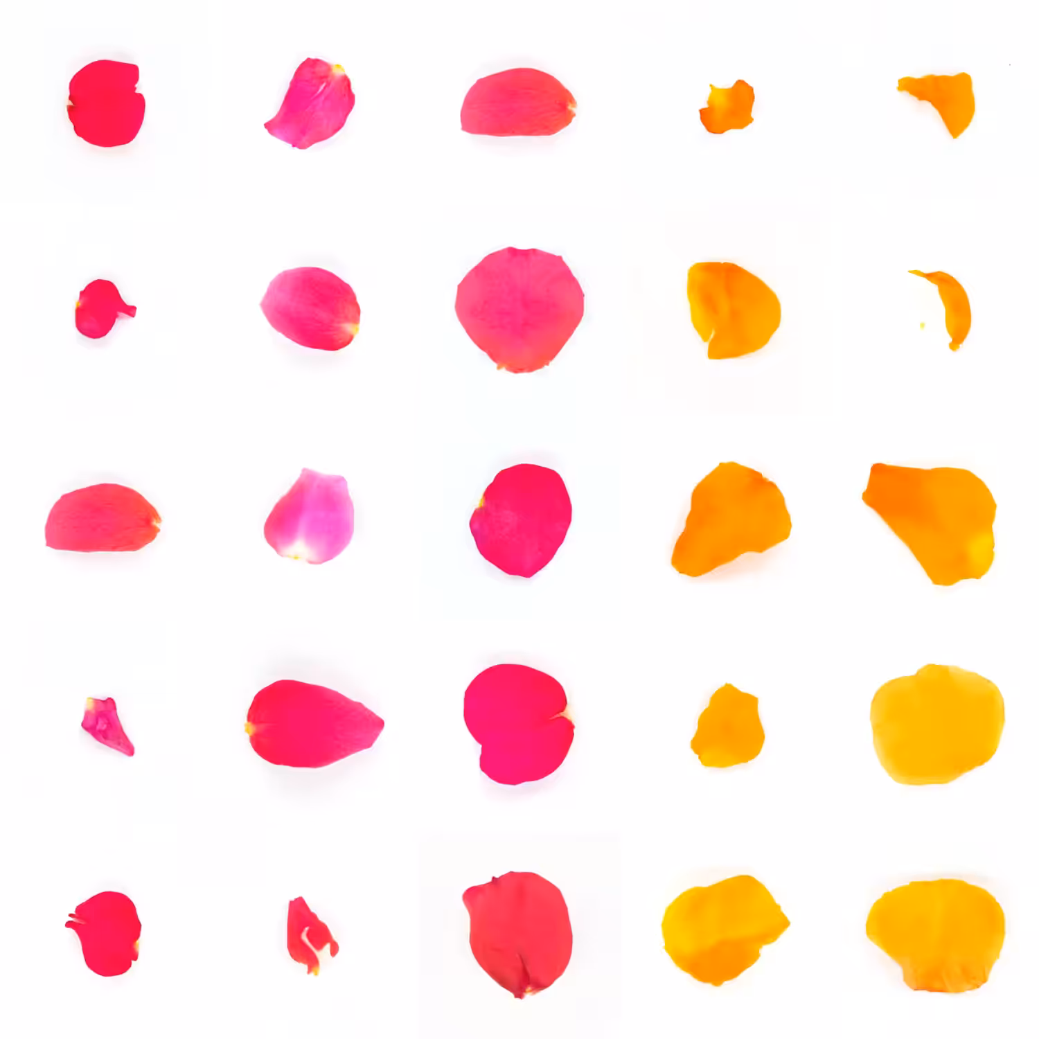 Infinite Petals 5x5#21340