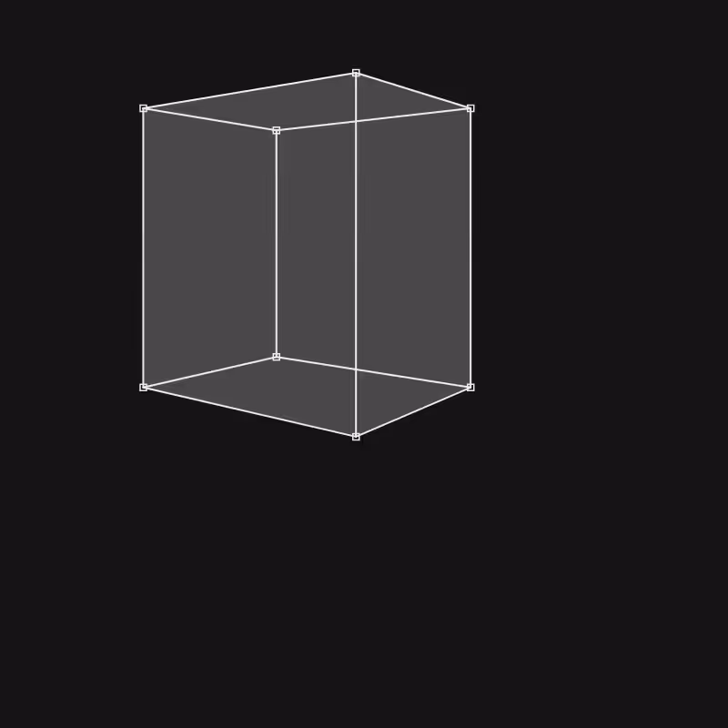 Perspective 1.0 #76