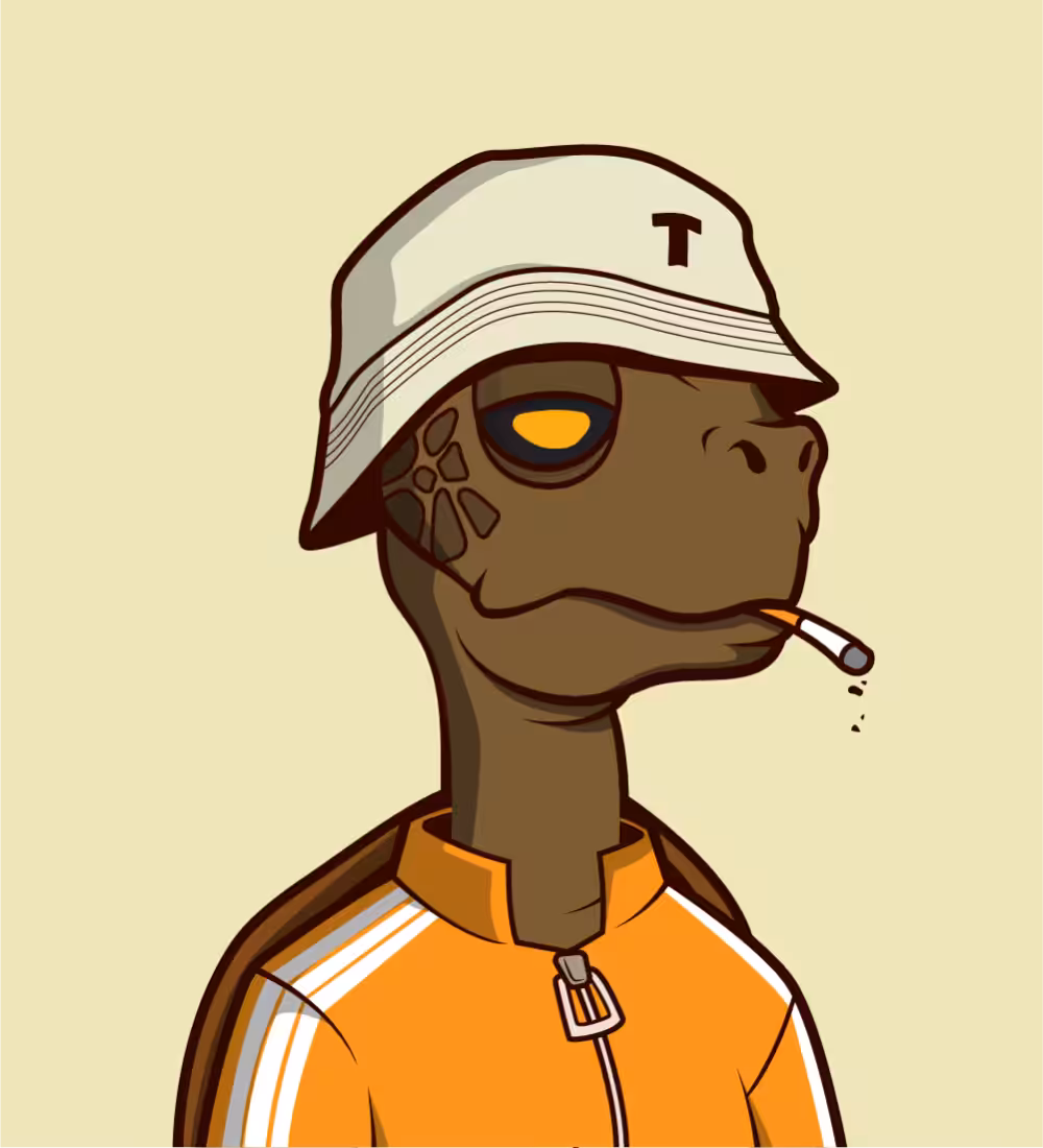 Tiny Turtle 57