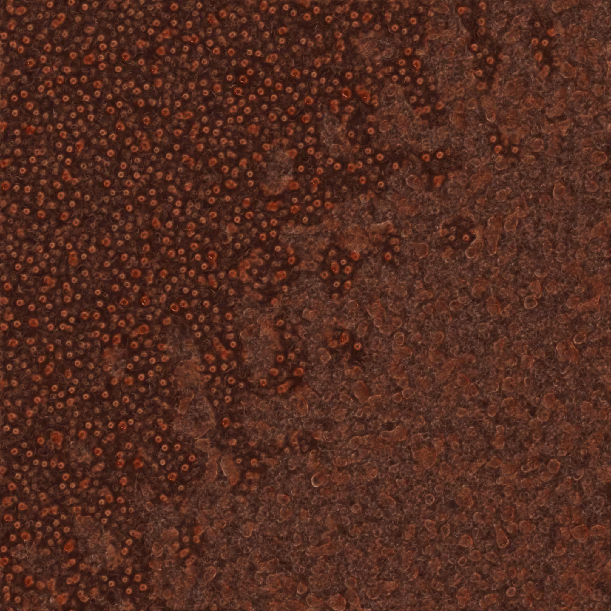 saprophyte #220