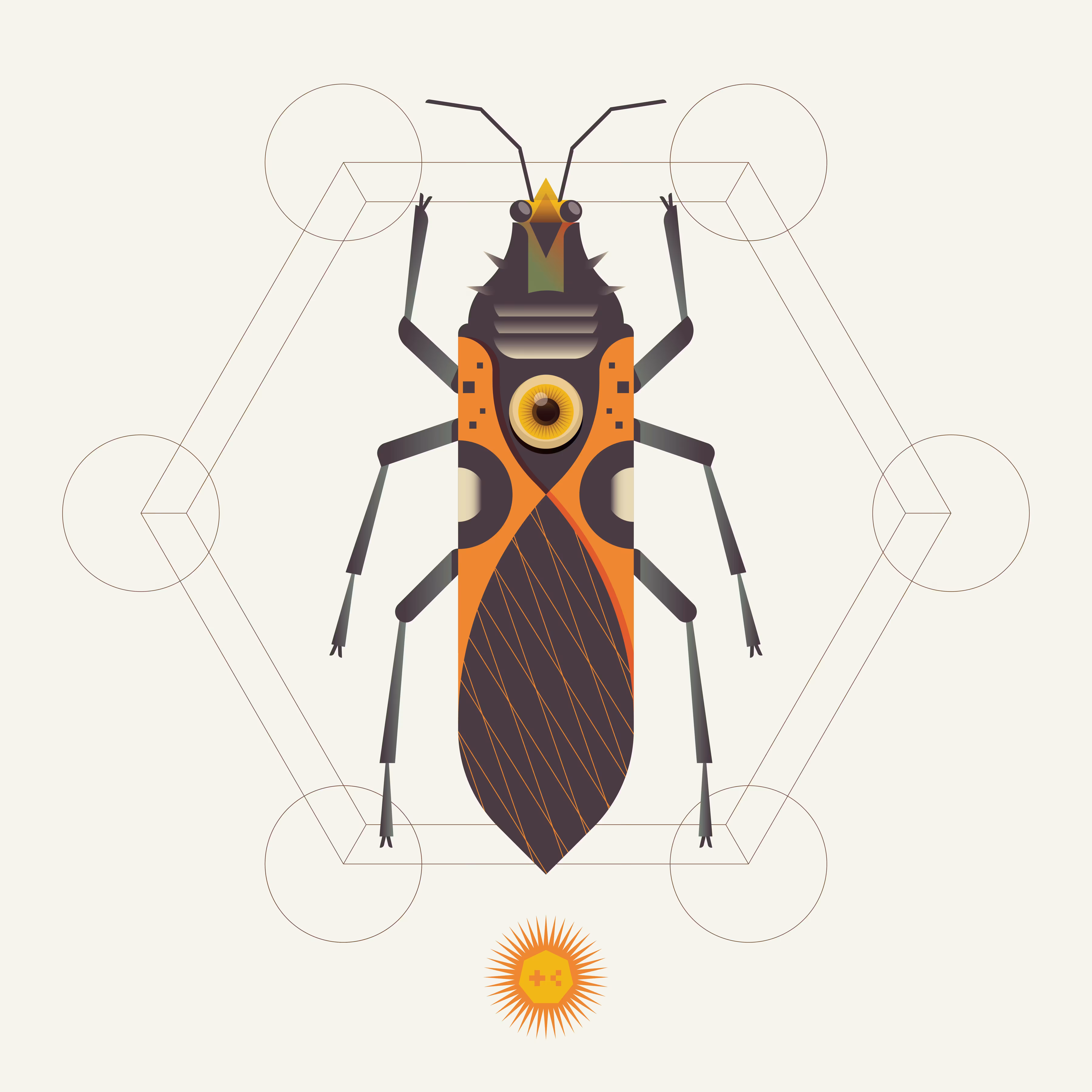 Oncopeltus digitalus