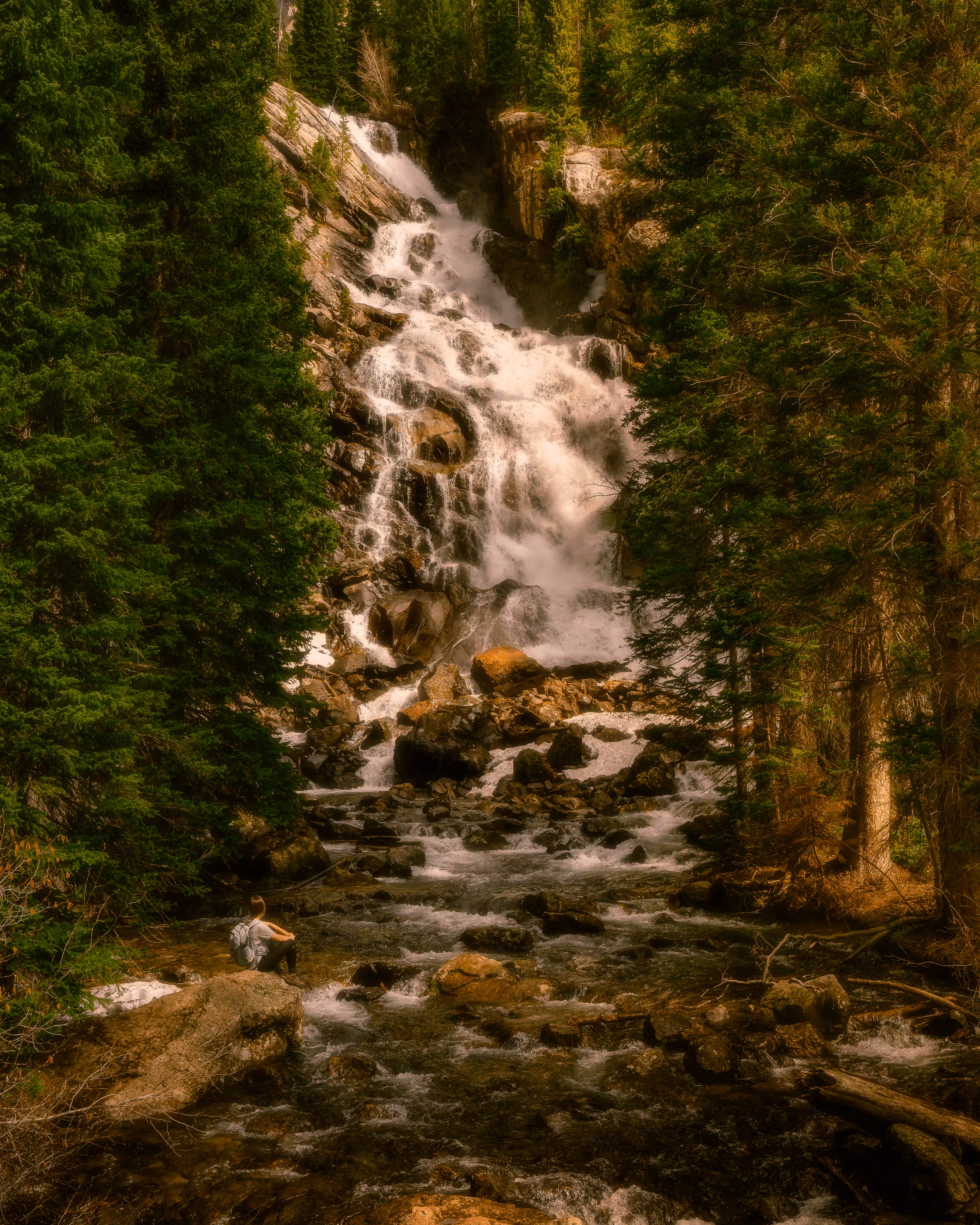 Teton Greenery