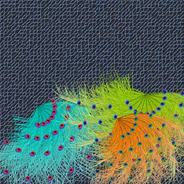 Oriental Peafowl Impression #3