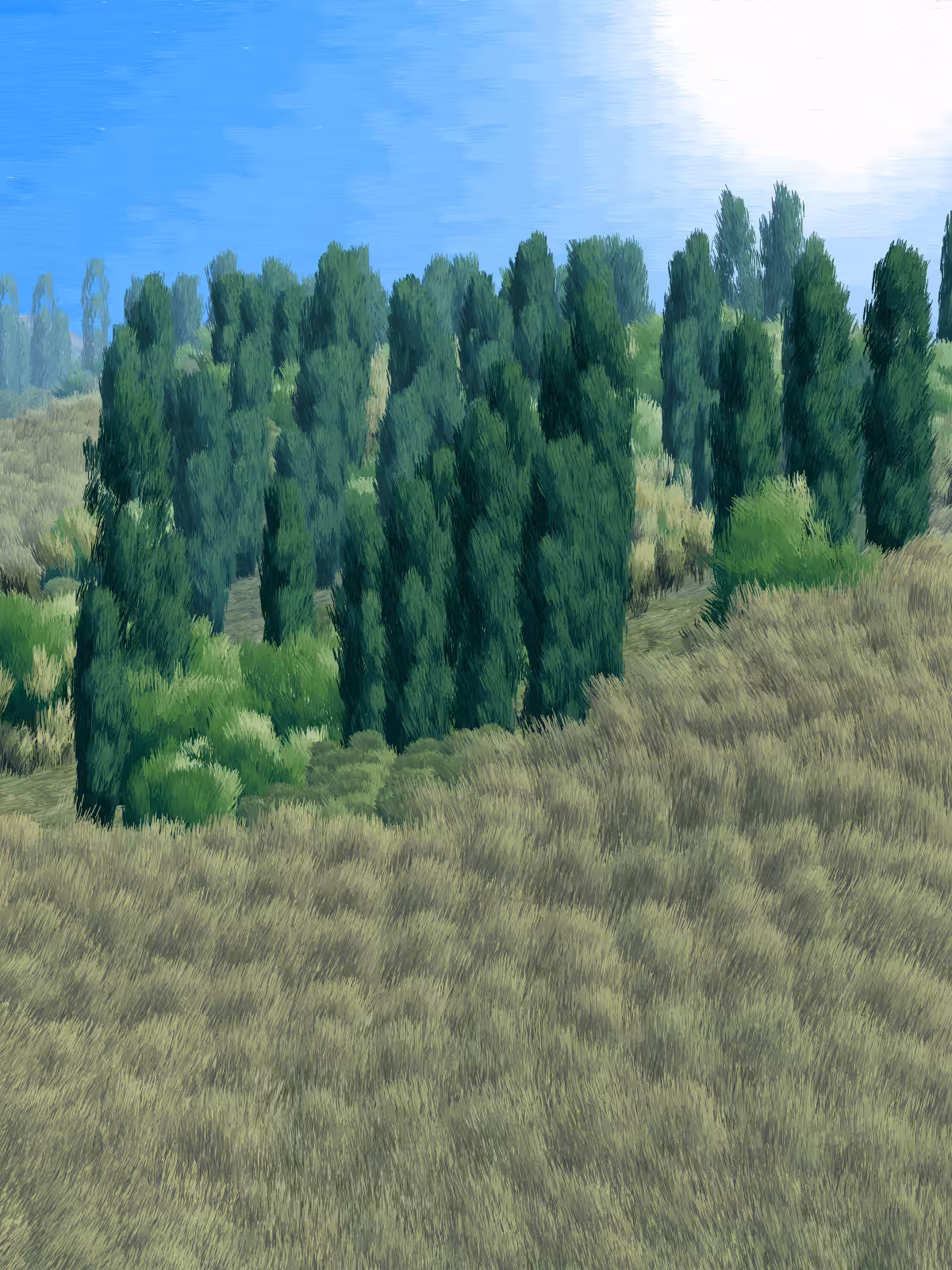 Provence #145