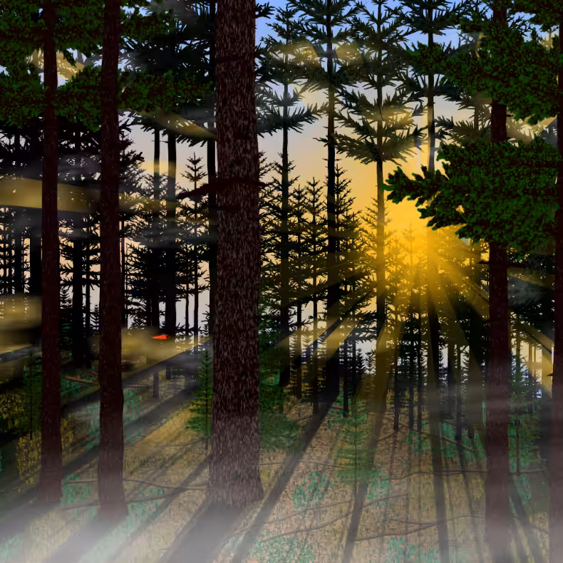 Forest Sunrise #37