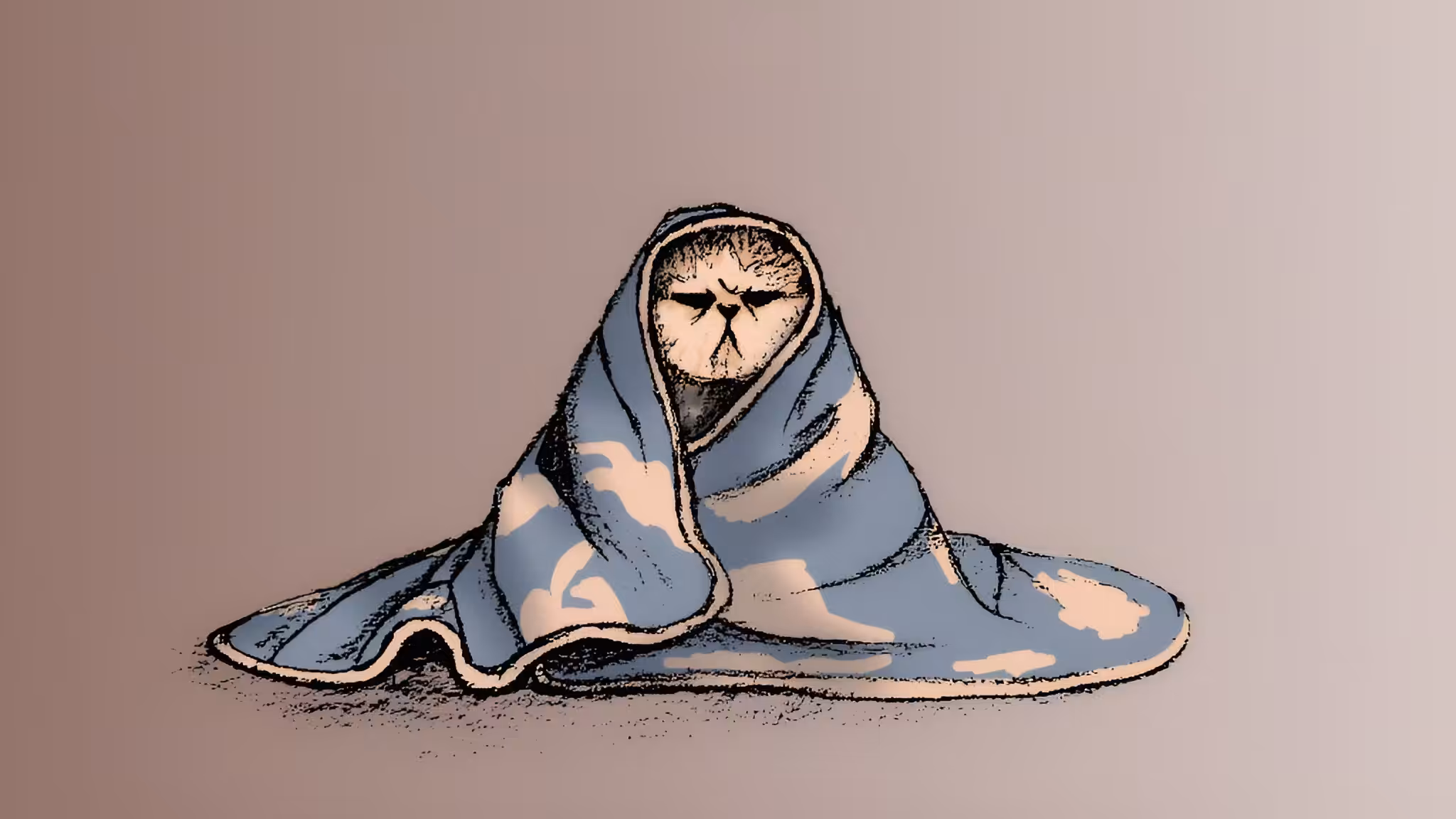 Art Of Abolfazl : Sleepy Cat 