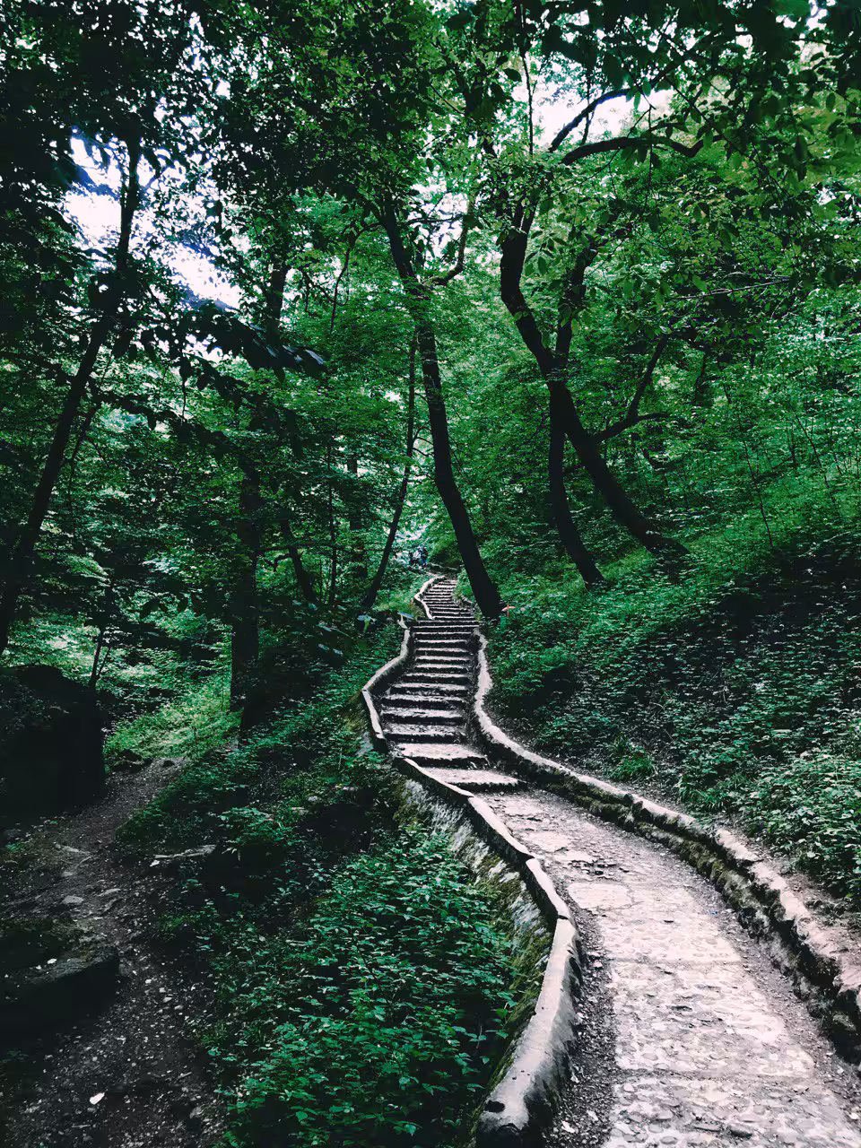 The Magical Way