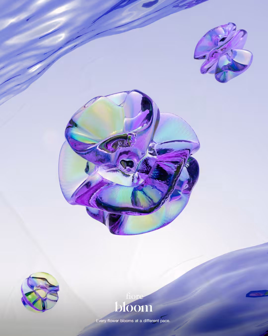 Bloom