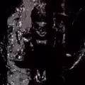 Fortuna 