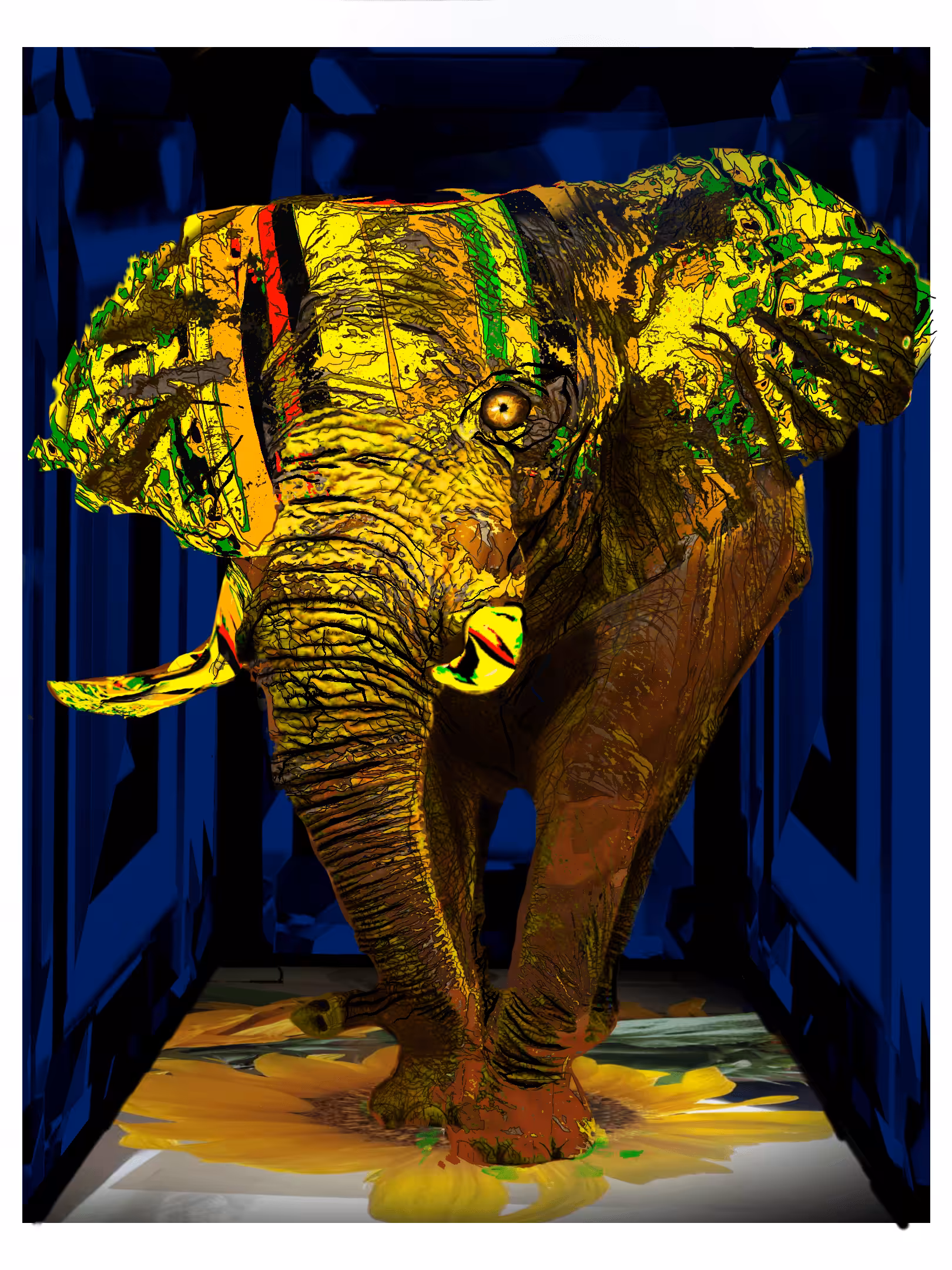 The Elephant in the Room