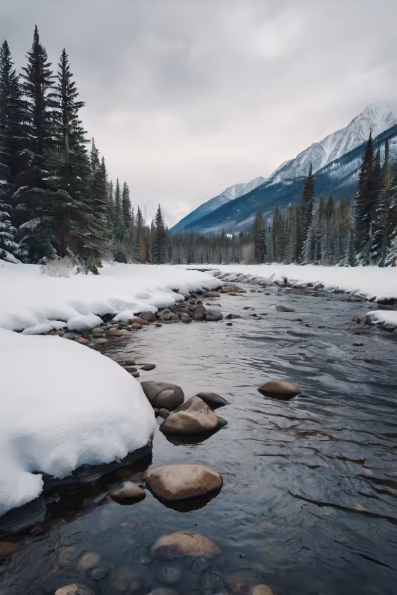 Pine and river