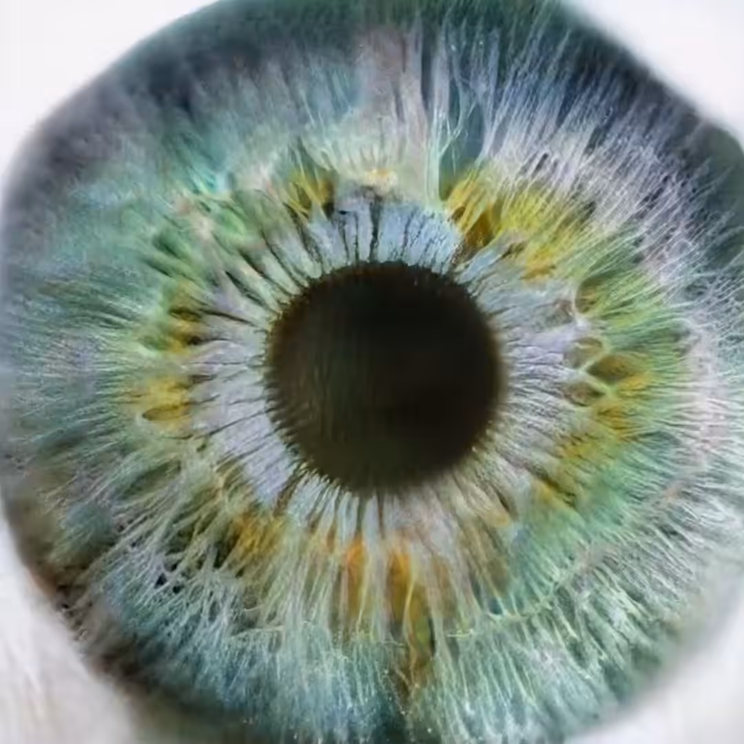 / OJOS /