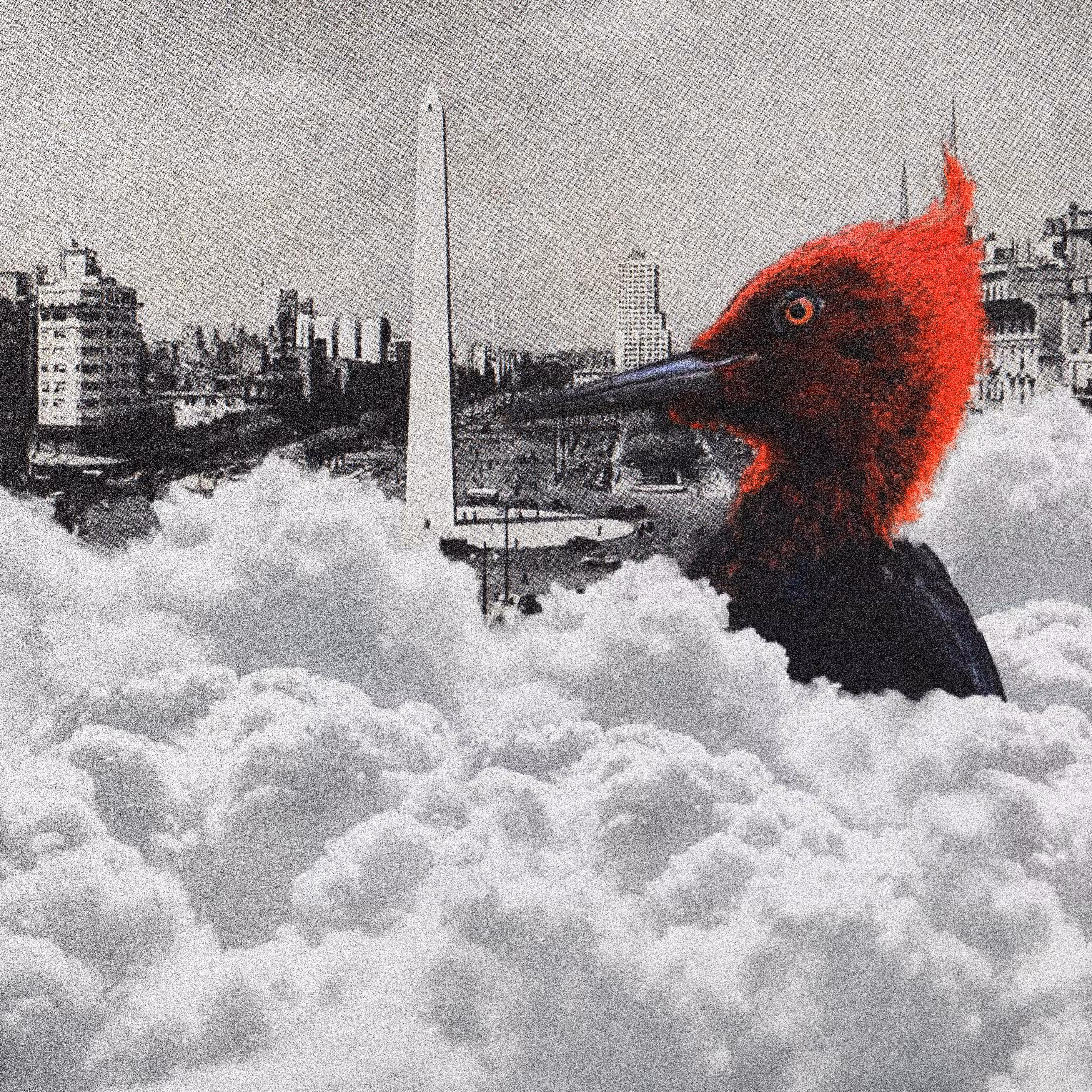 Birdman Buenos Aires