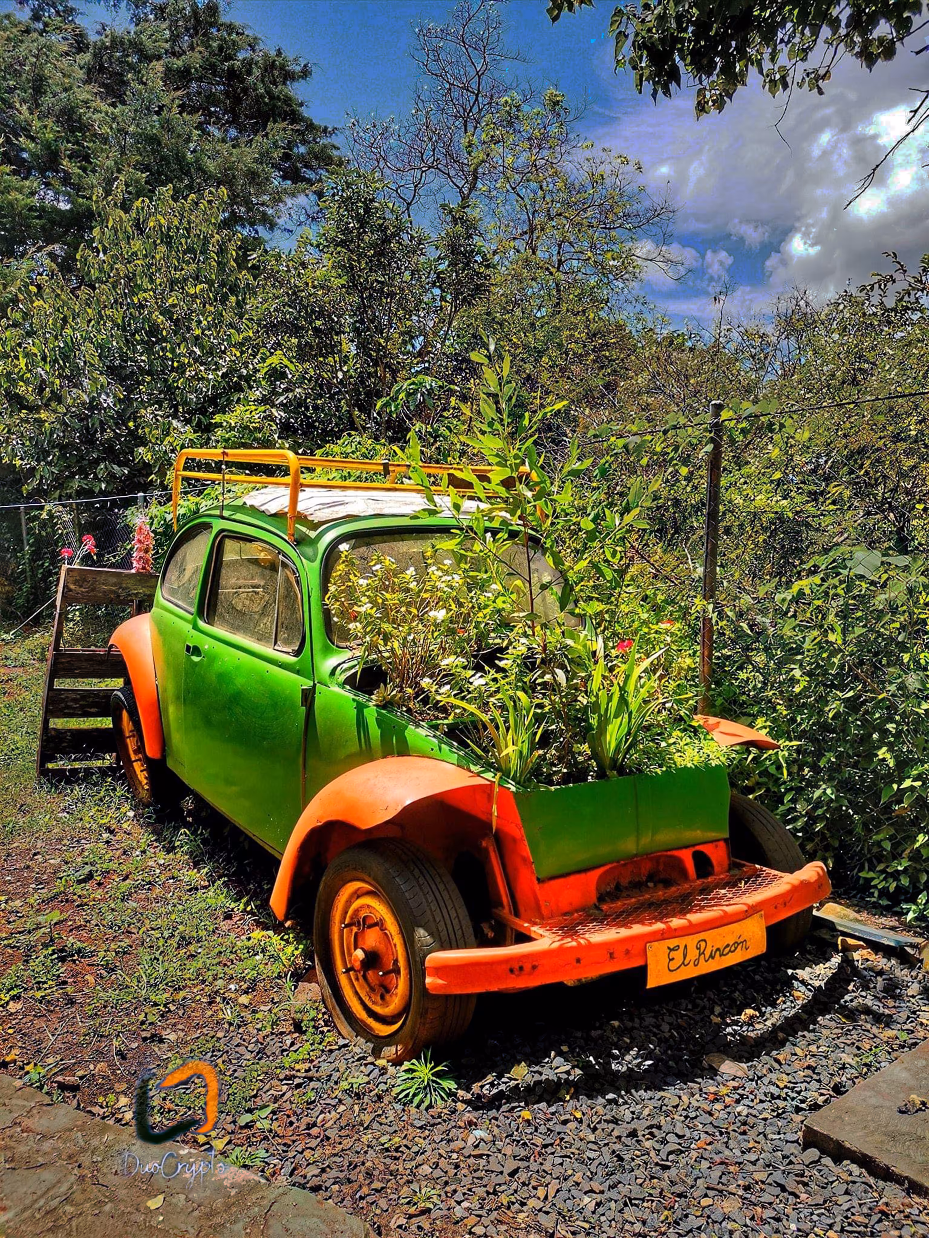 1. Colors "El Rincon"