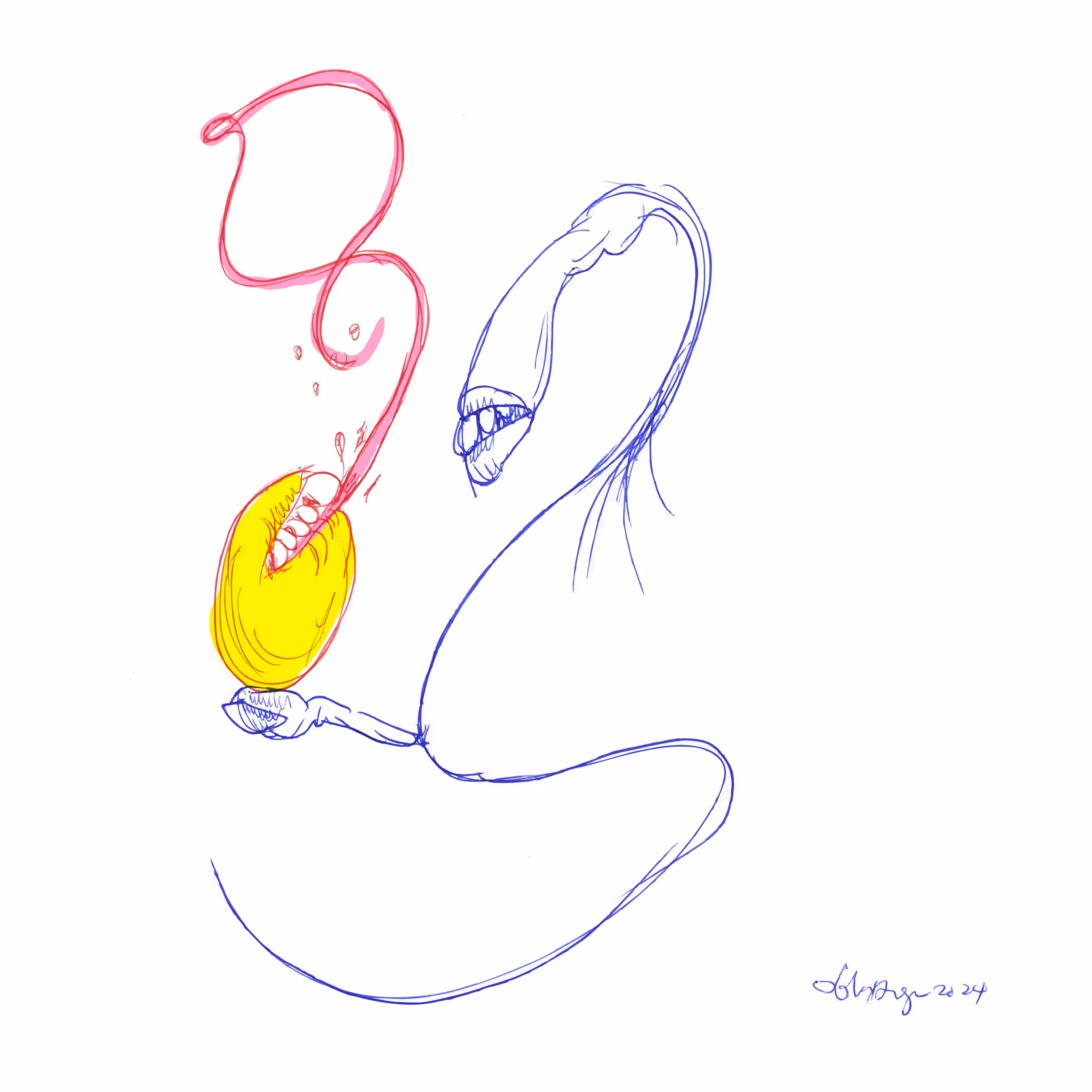 lasso