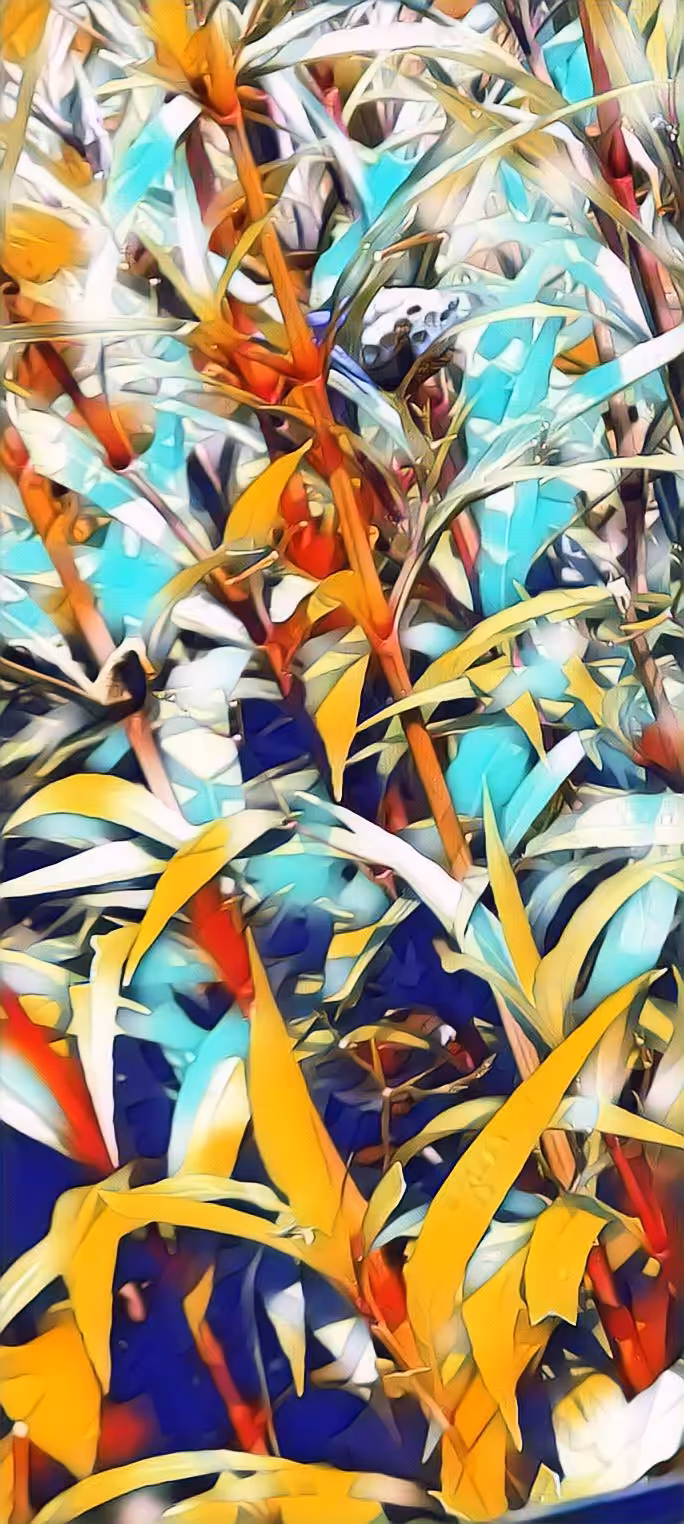 Branch Of Life