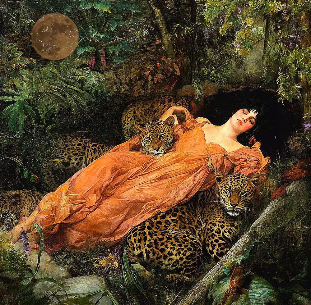 Veiled Enchantment