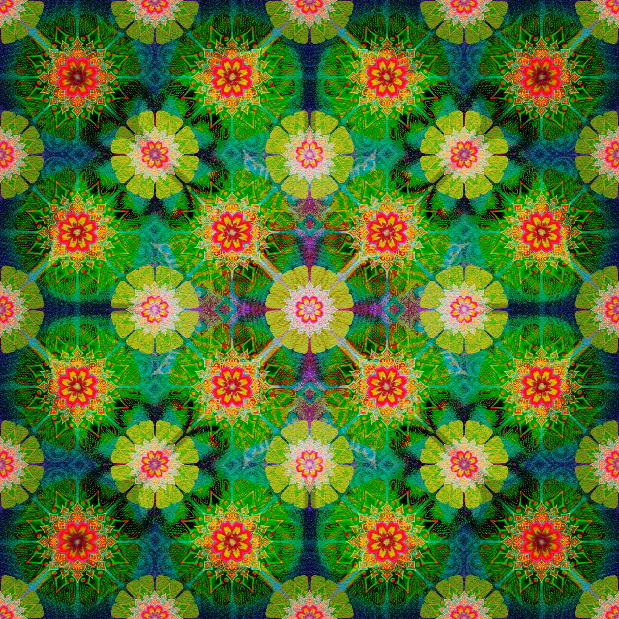 Chaos Mandala: CM | Chaos #5