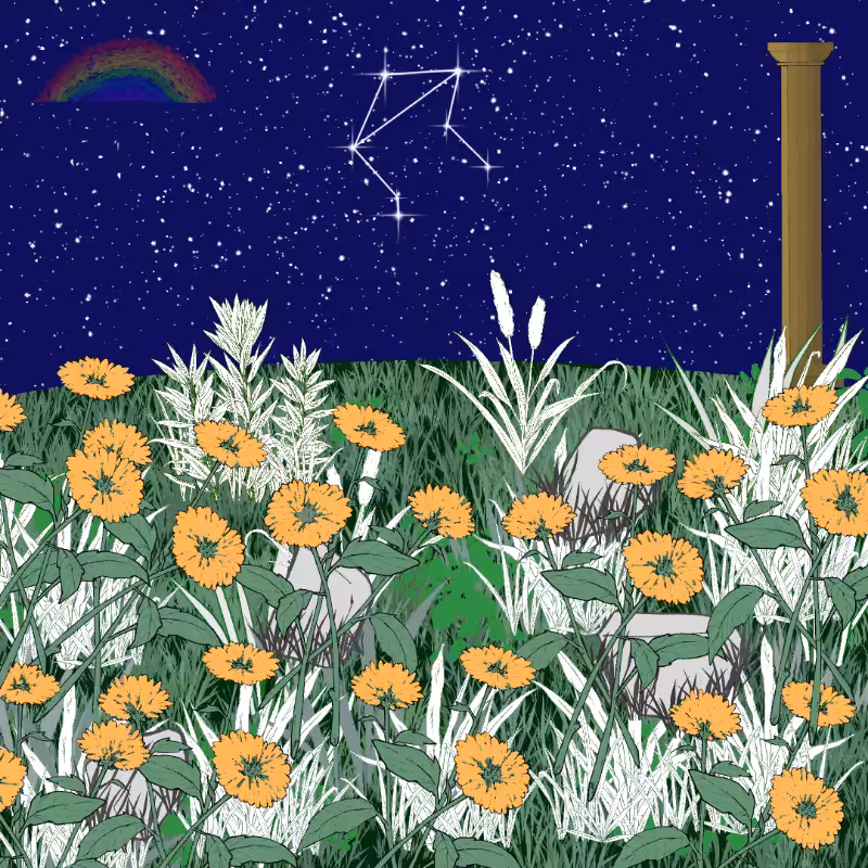 Zodiac #46