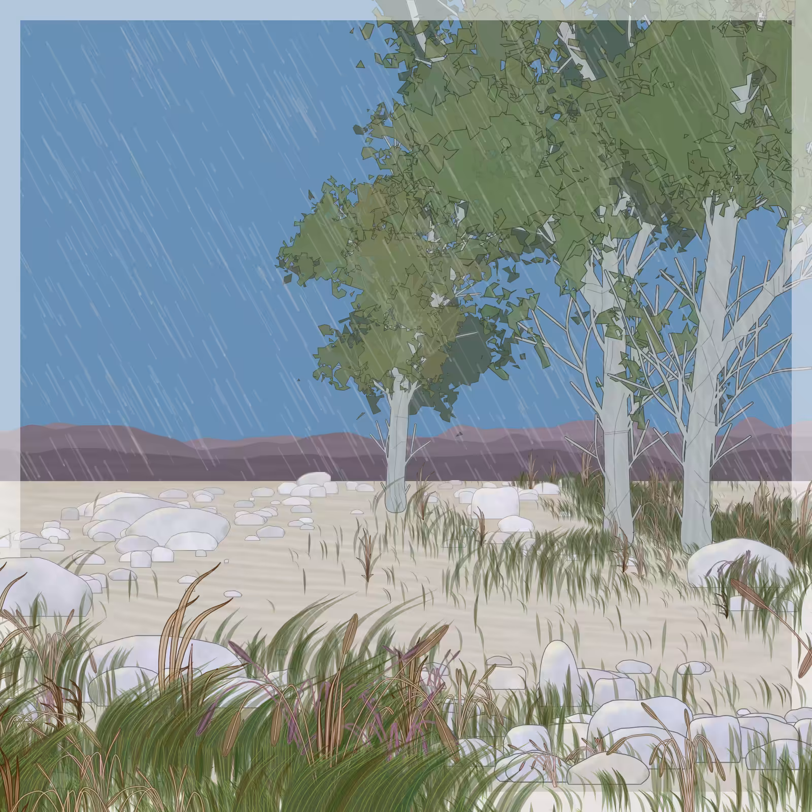 Rain Ritual #72