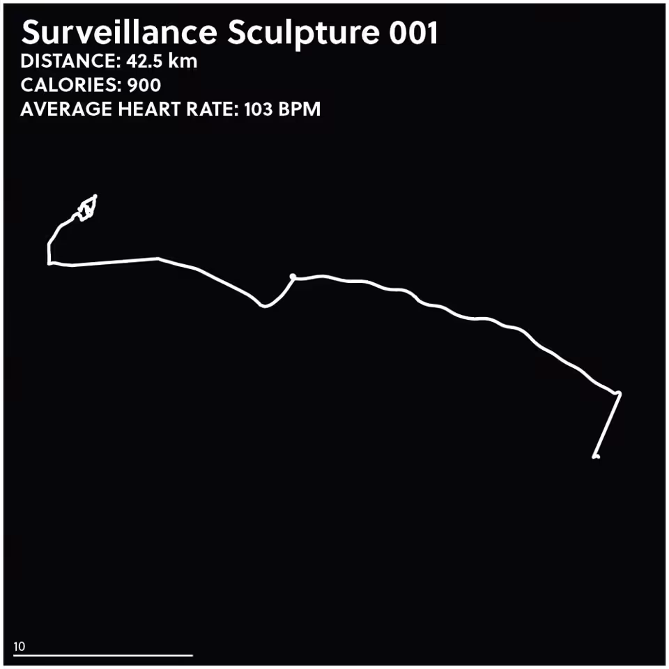 Surveillance Sculpture 001