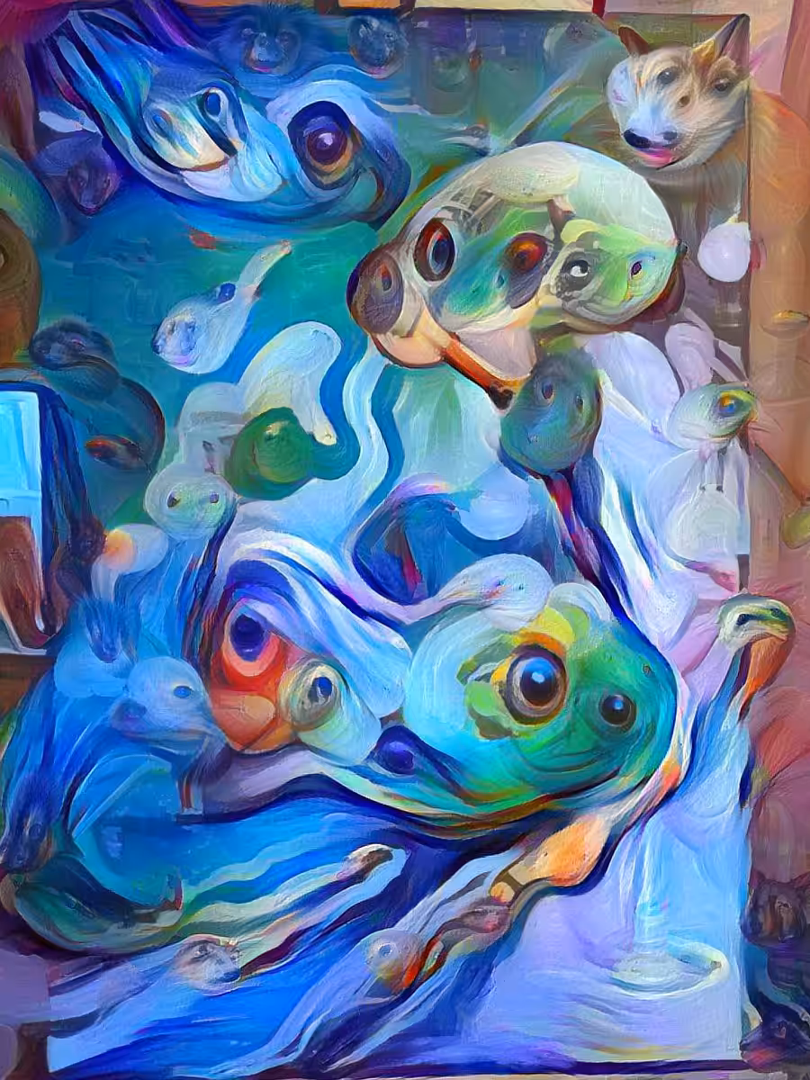 Capricious Reality