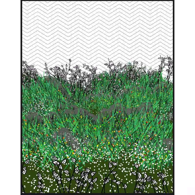 Contours #54