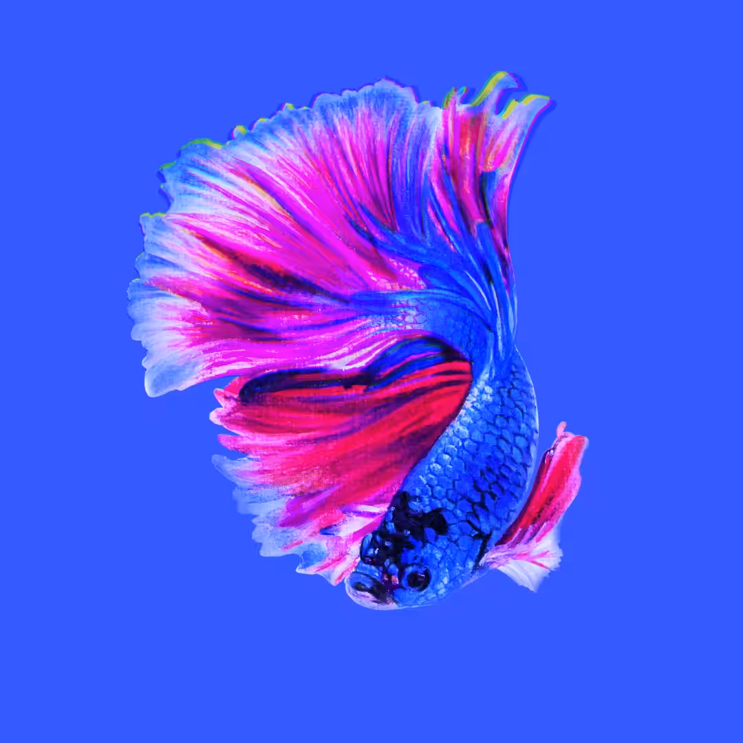 Swimming In The Digital