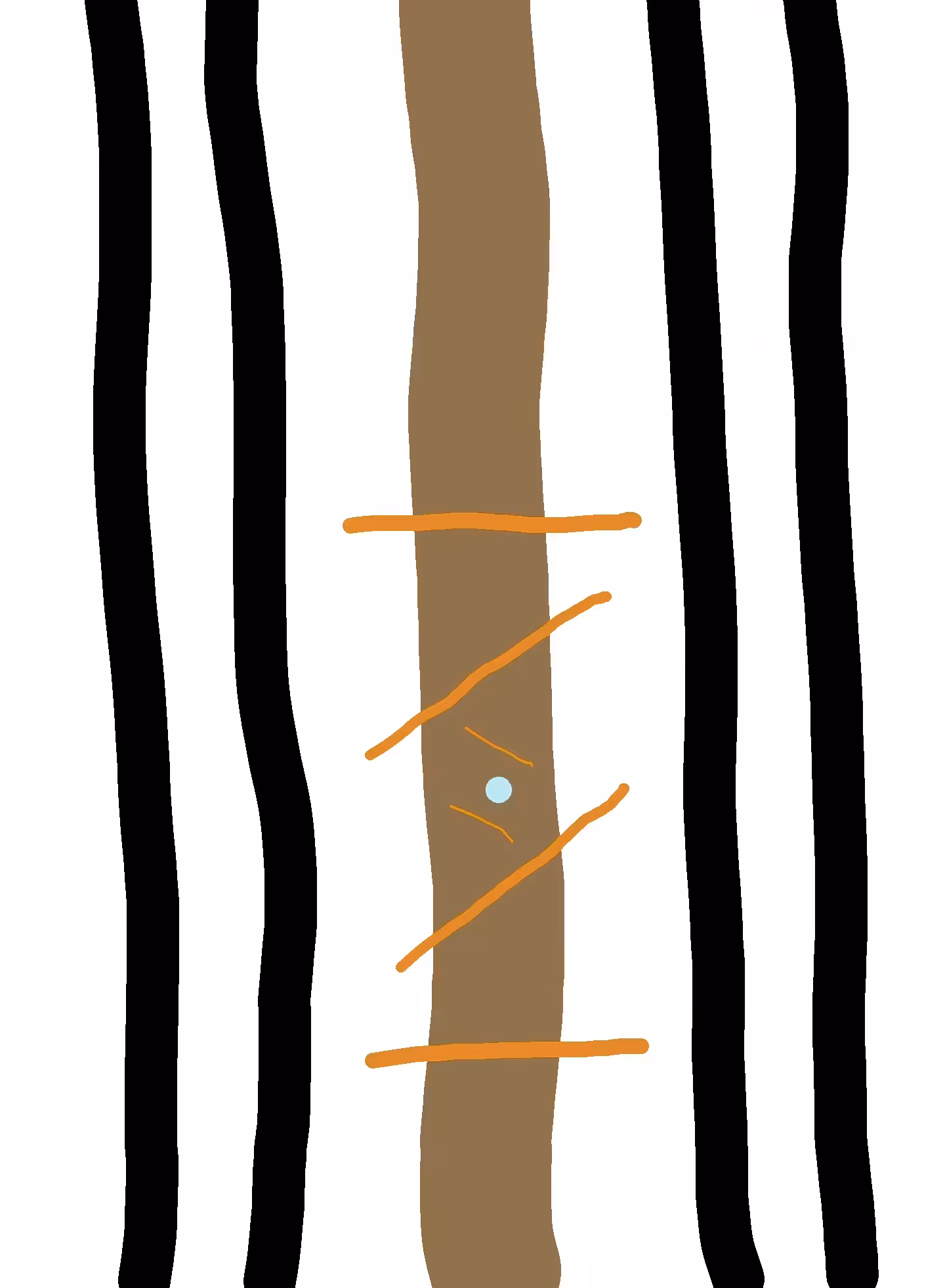 The beginning of style 2 - Stripes and dots: Rings of the Galaxy (warm)